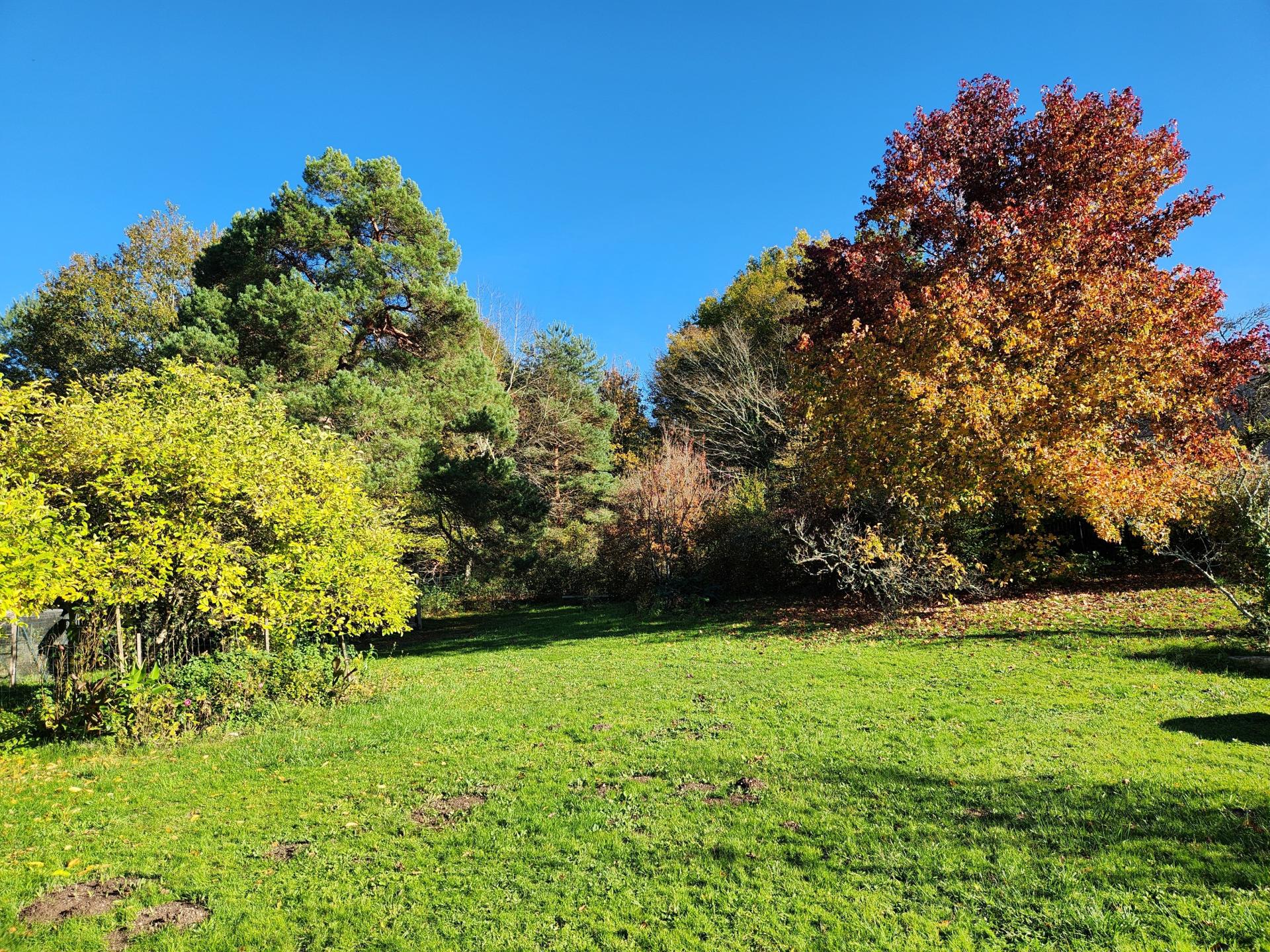 Miniature photo - 13 / 15