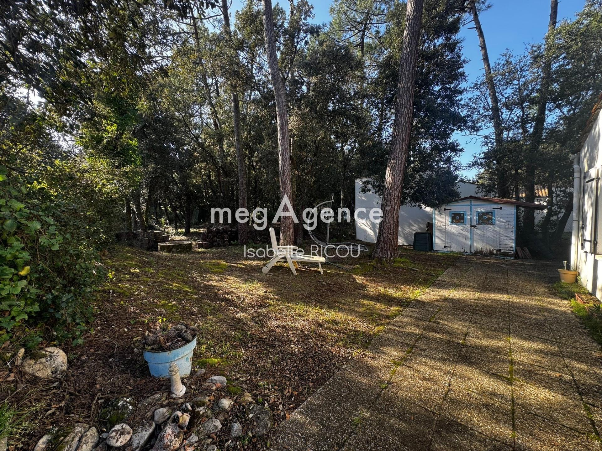 Miniature photo - 14 / 14