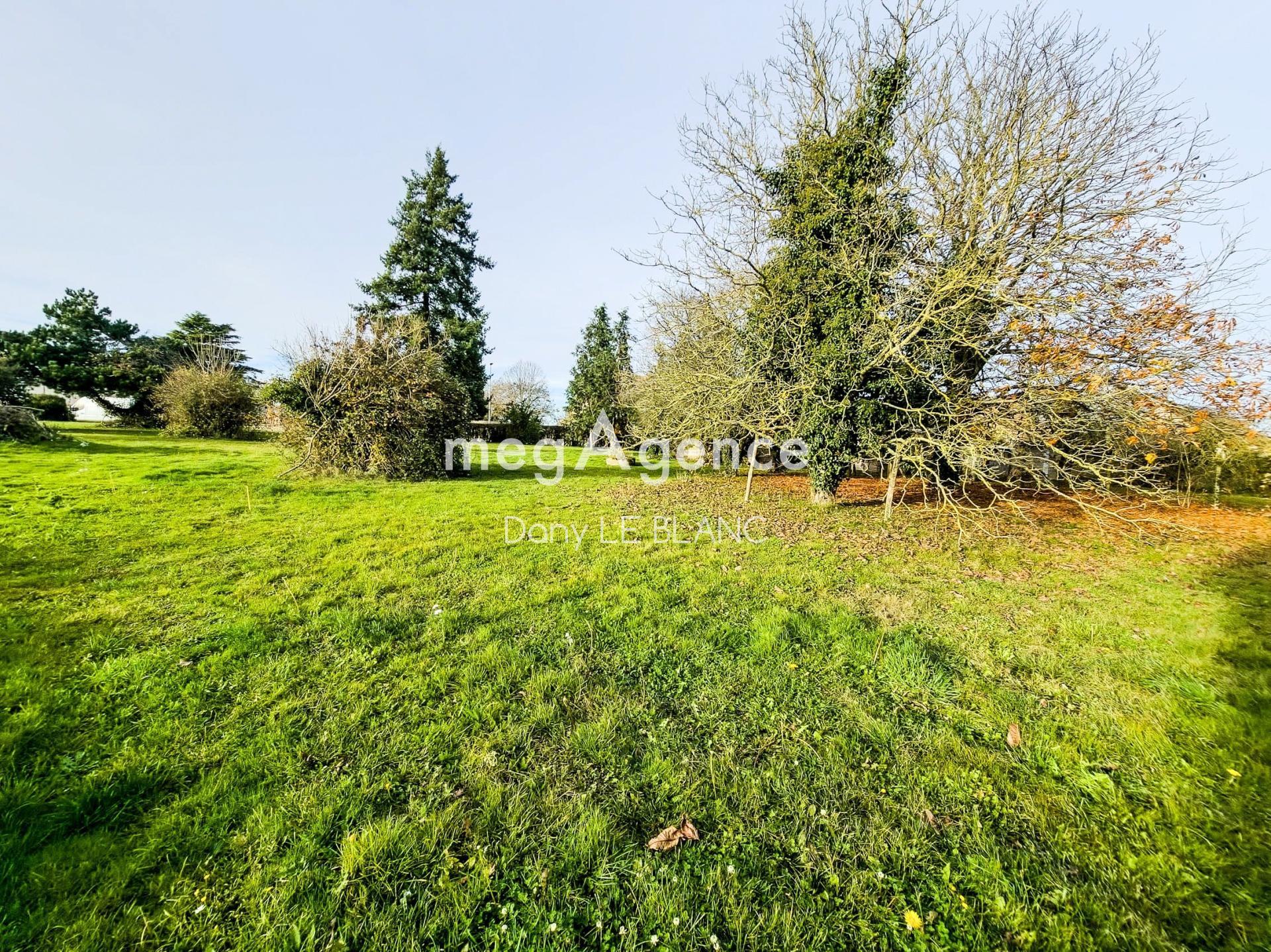 Miniature photo - 2 / 4