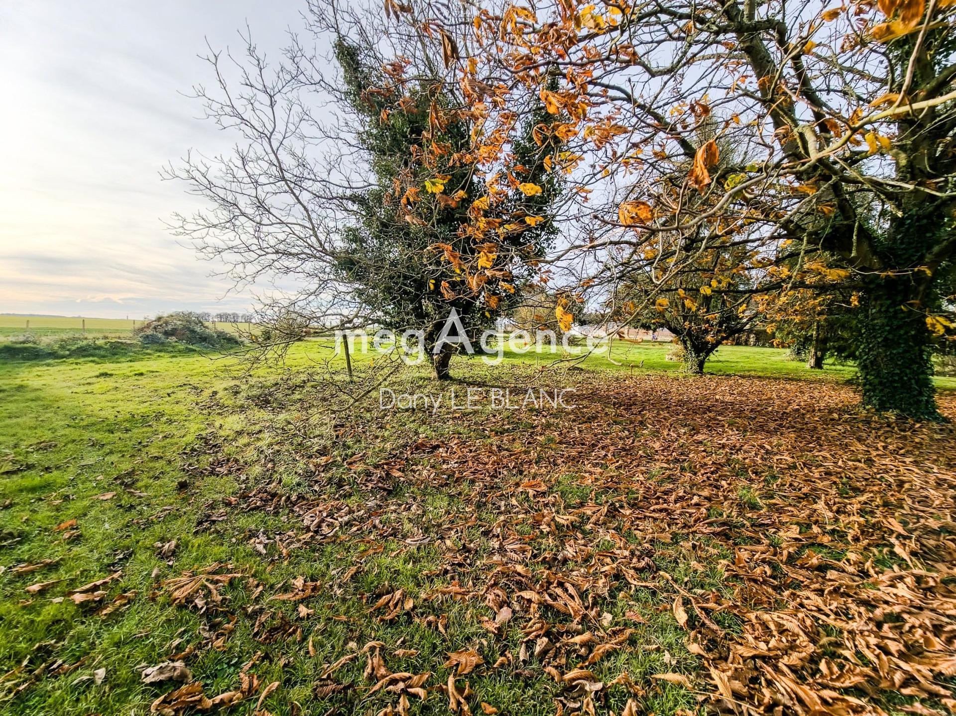 Photographie descriptive du bien