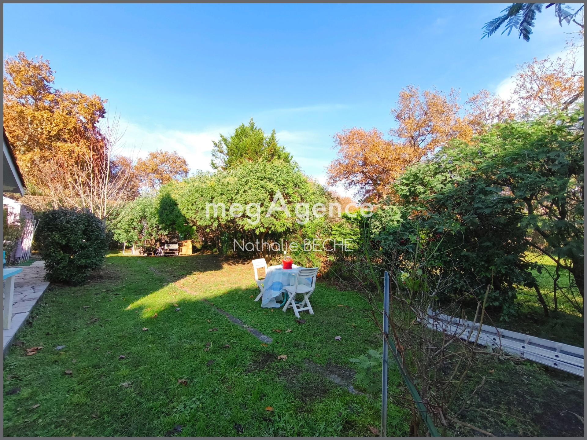 Miniature photo - 10 / 11