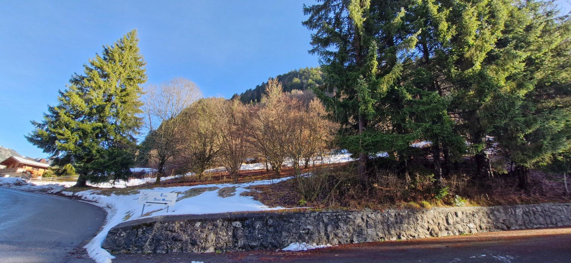 Miniature photo - 6 / 6