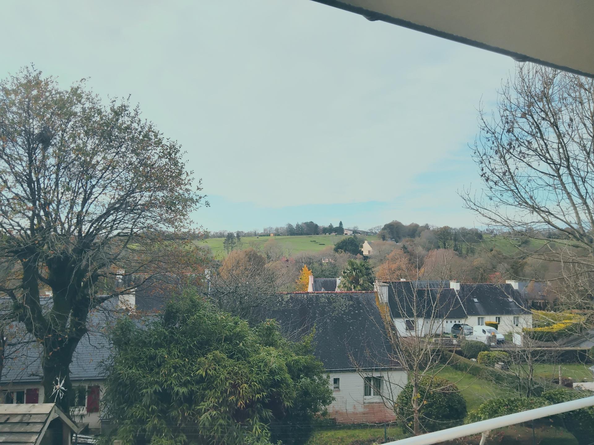 Miniature photo - 8 / 14