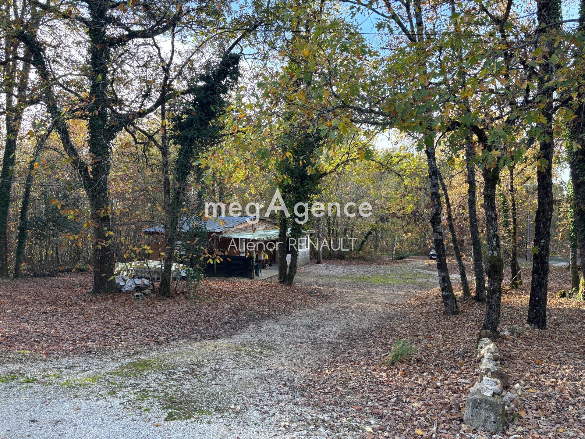 Miniature photo - 3 / 6