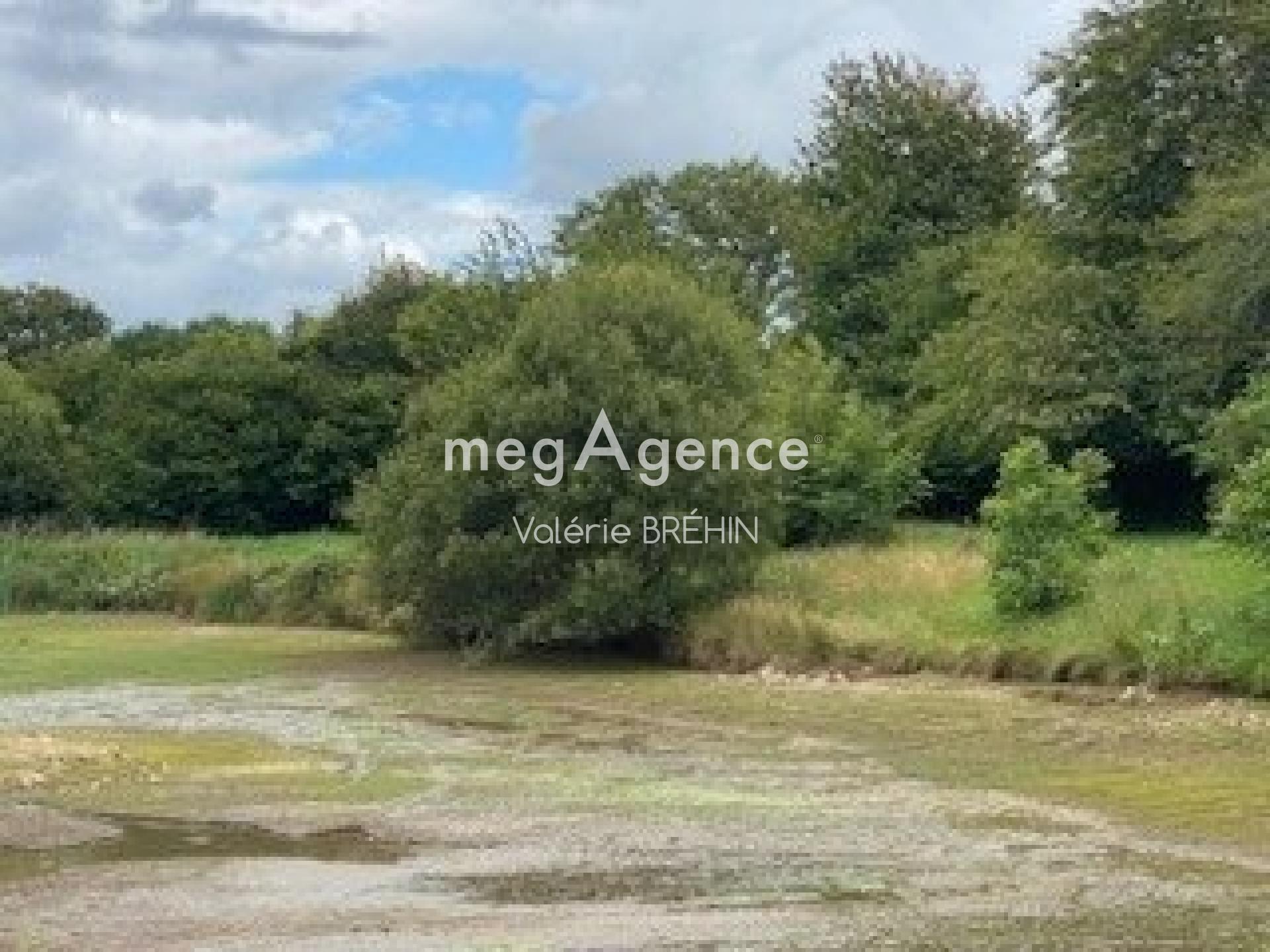 Miniature photo - 2 / 4