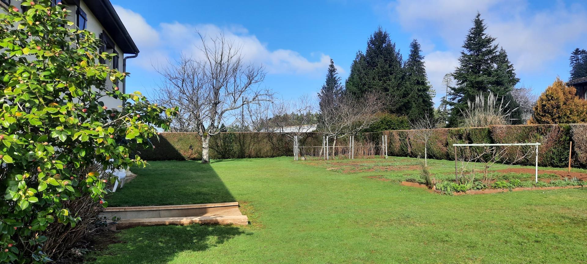 Miniature photo - 11 / 11