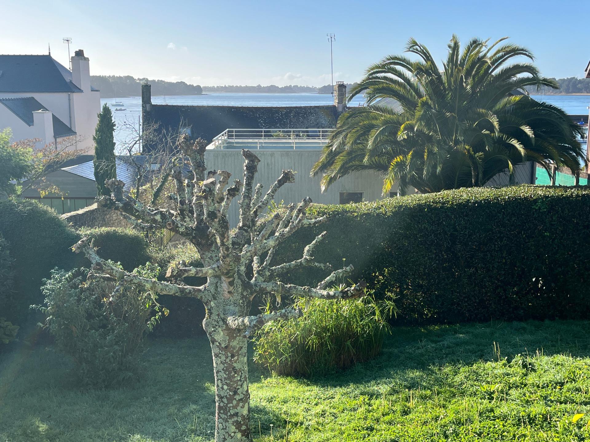 Miniature photo - 2 / 9