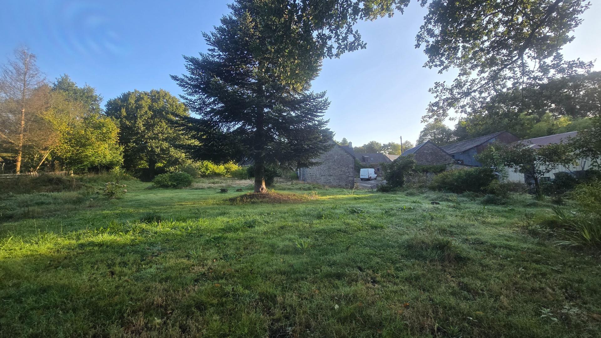 Miniature photo - 11 / 16