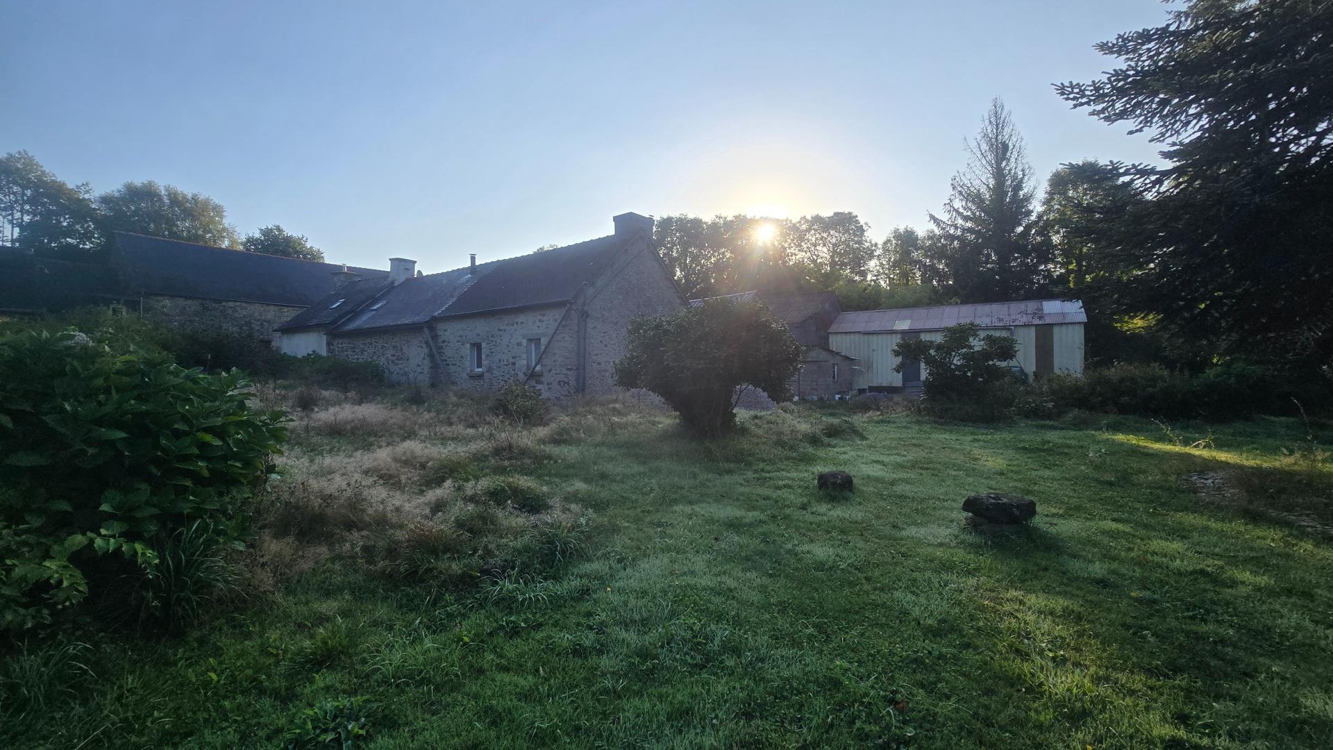 Miniature photo - 10 / 16