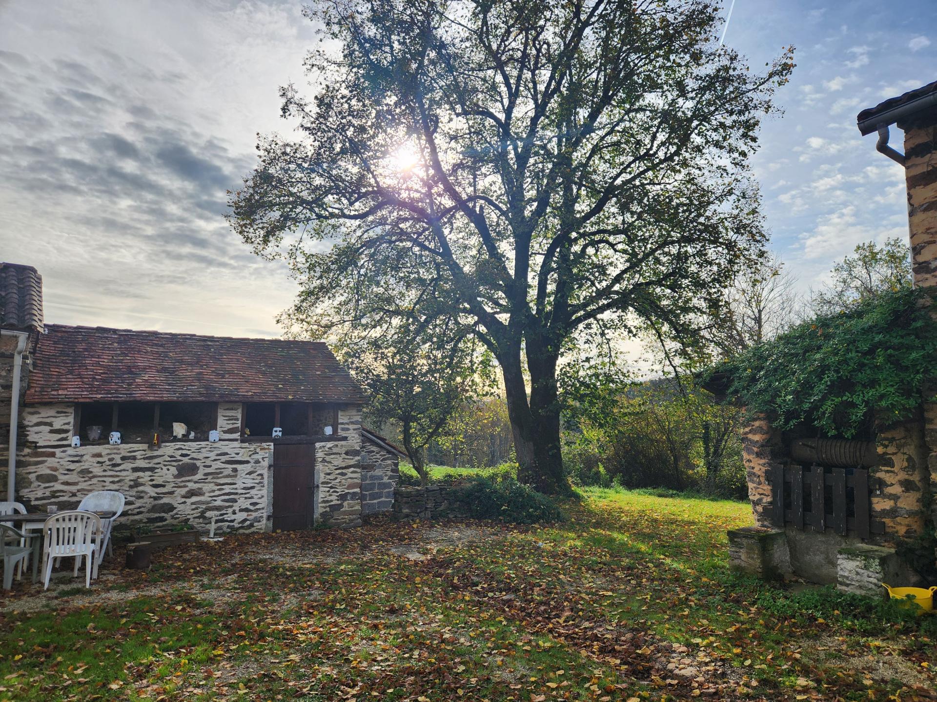 Miniature photo - 14 / 15