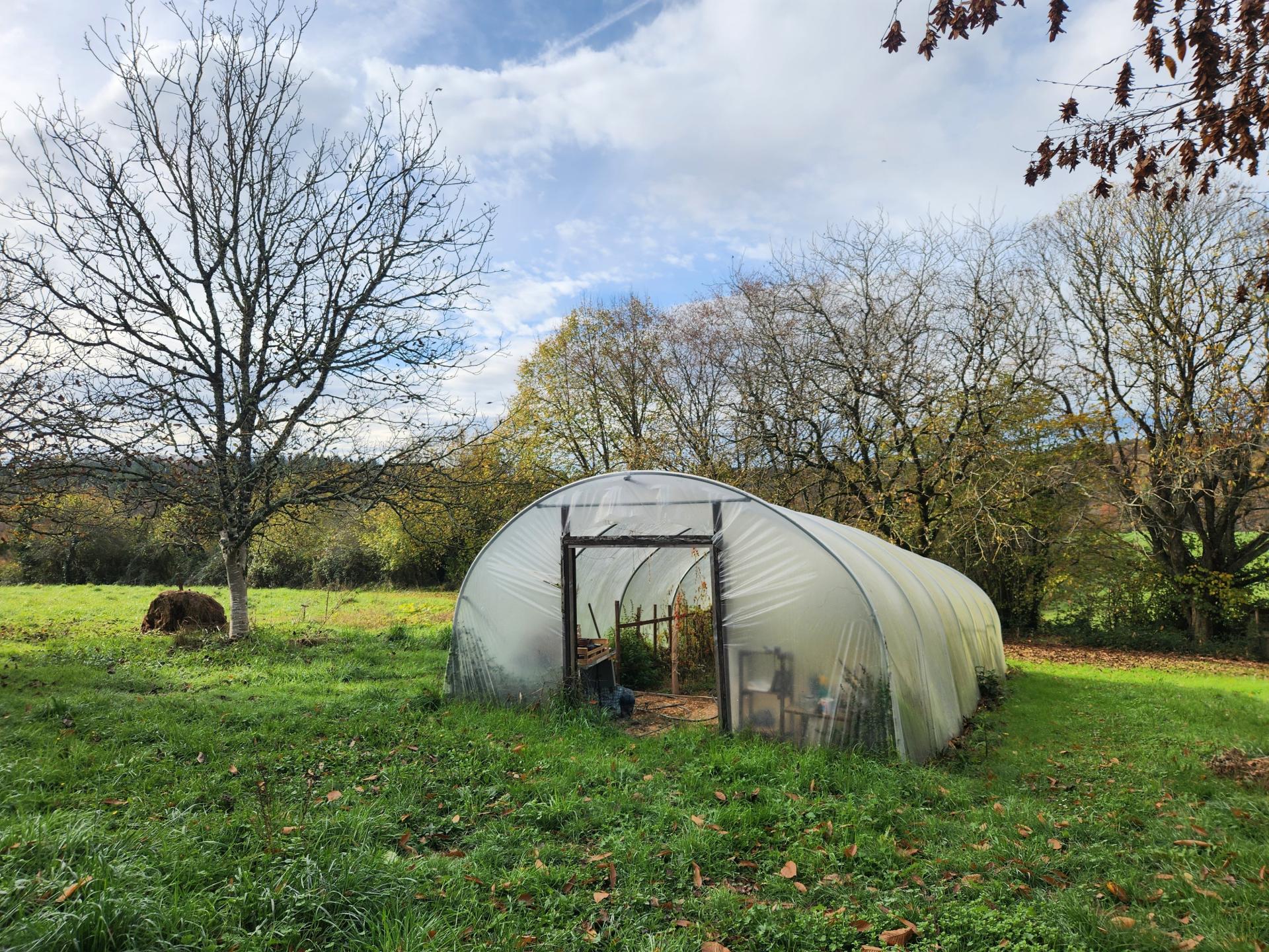 Miniature photo - 11 / 15