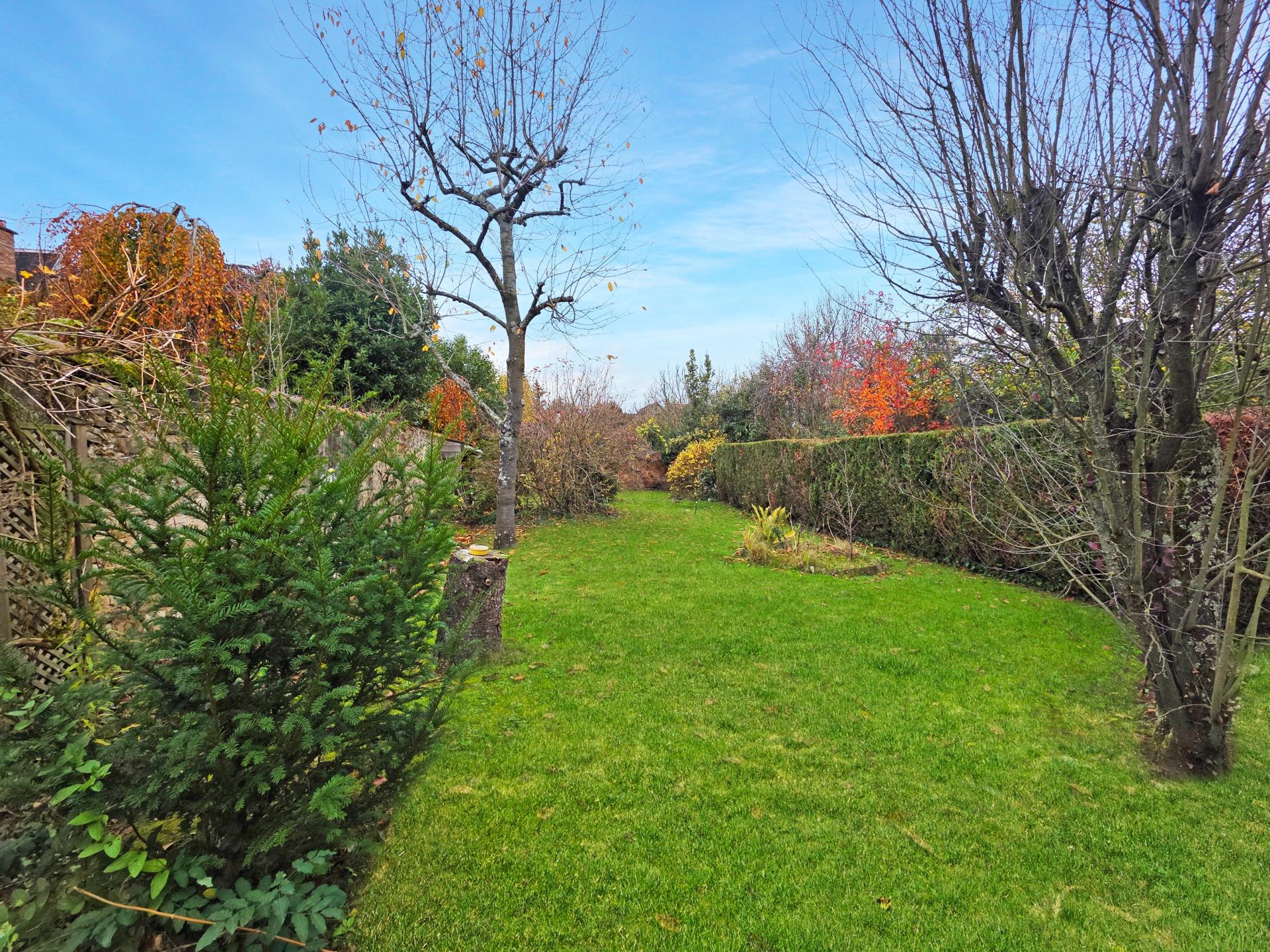 Miniature photo - 2 / 10