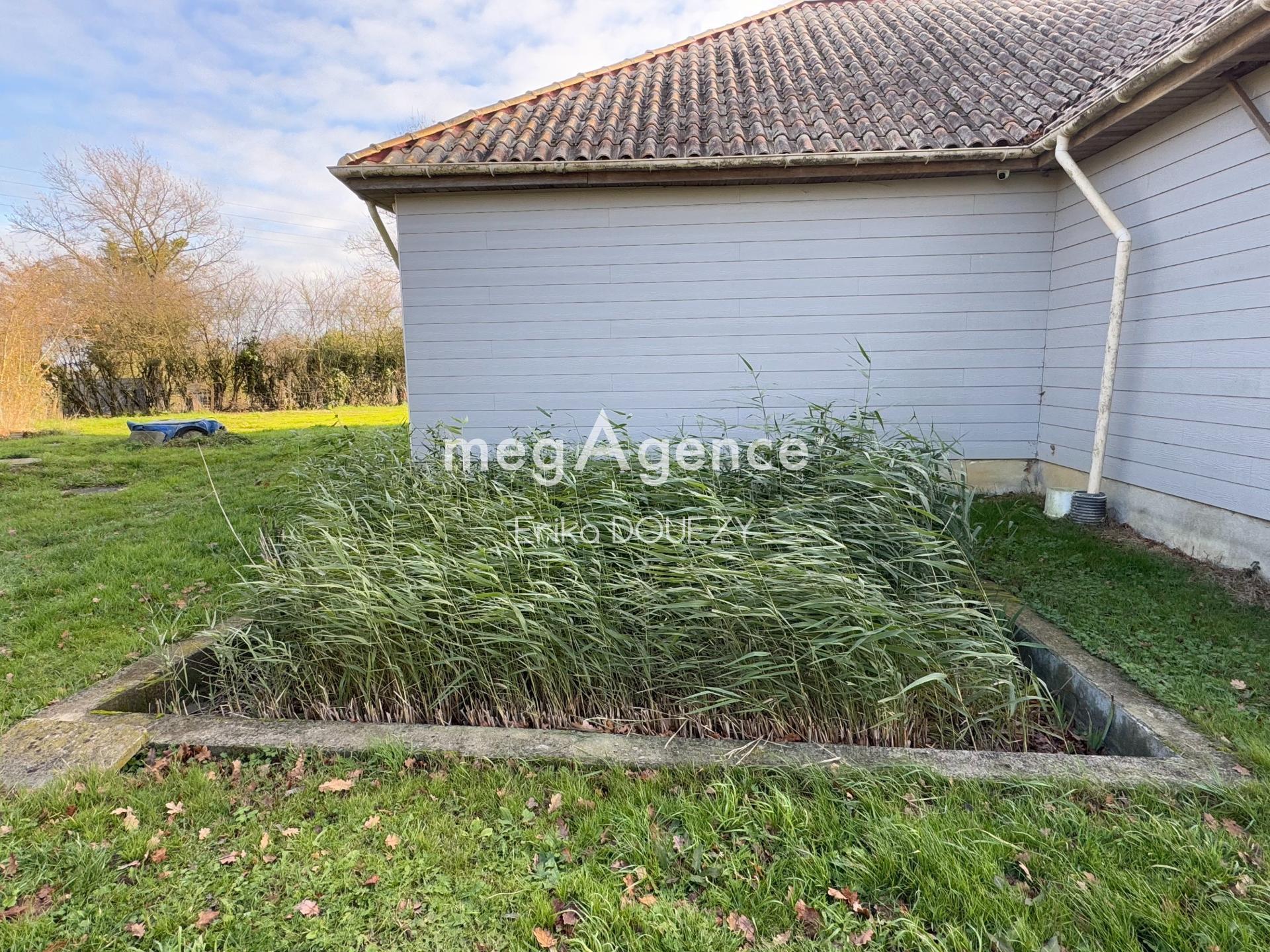 Miniature photo - 10 / 11