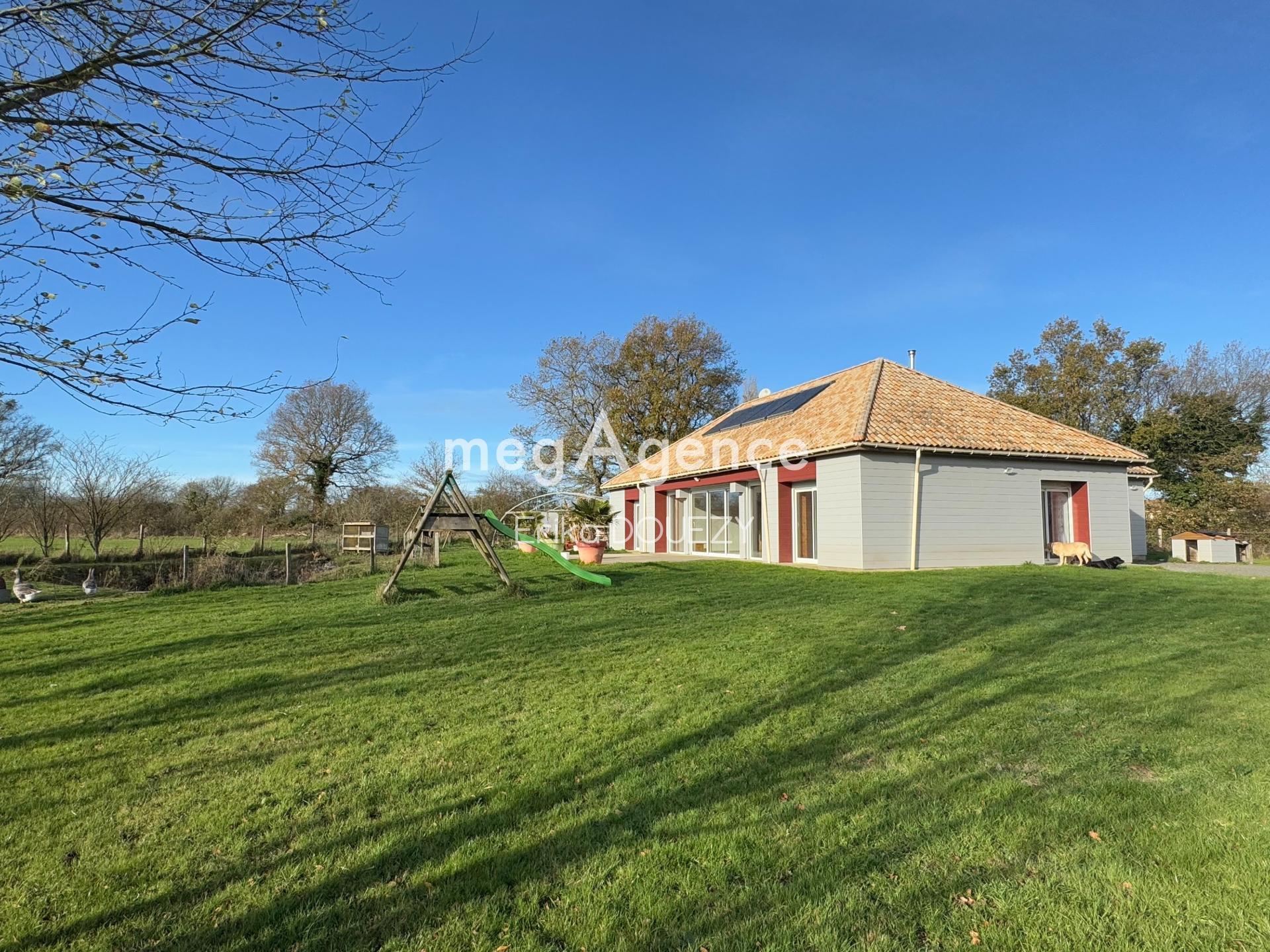 Miniature photo - 11 / 11