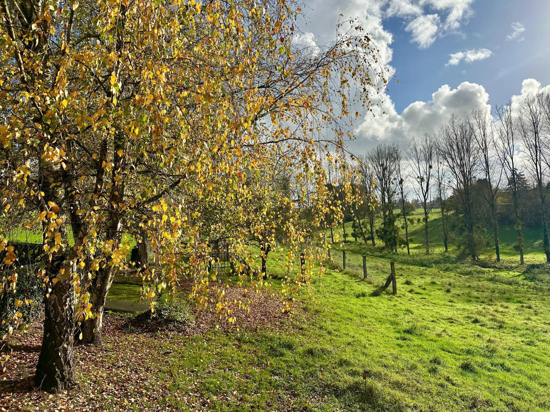 Miniature photo - 16 / 16