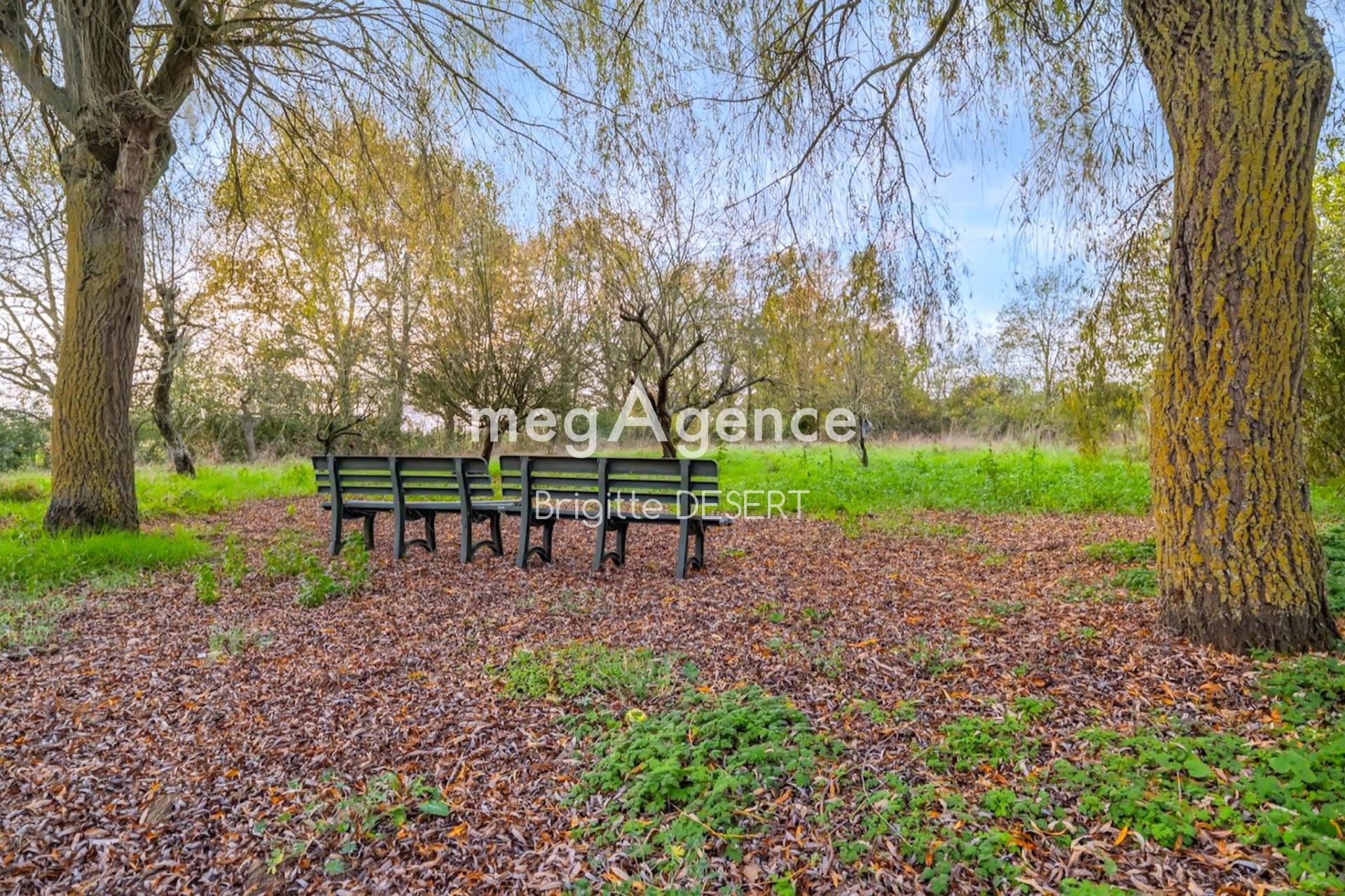 Miniature photo - 2 / 5