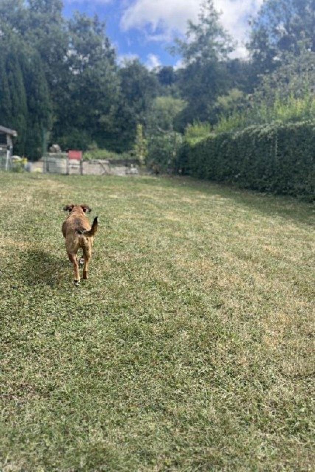 Miniature photo - 9 / 10