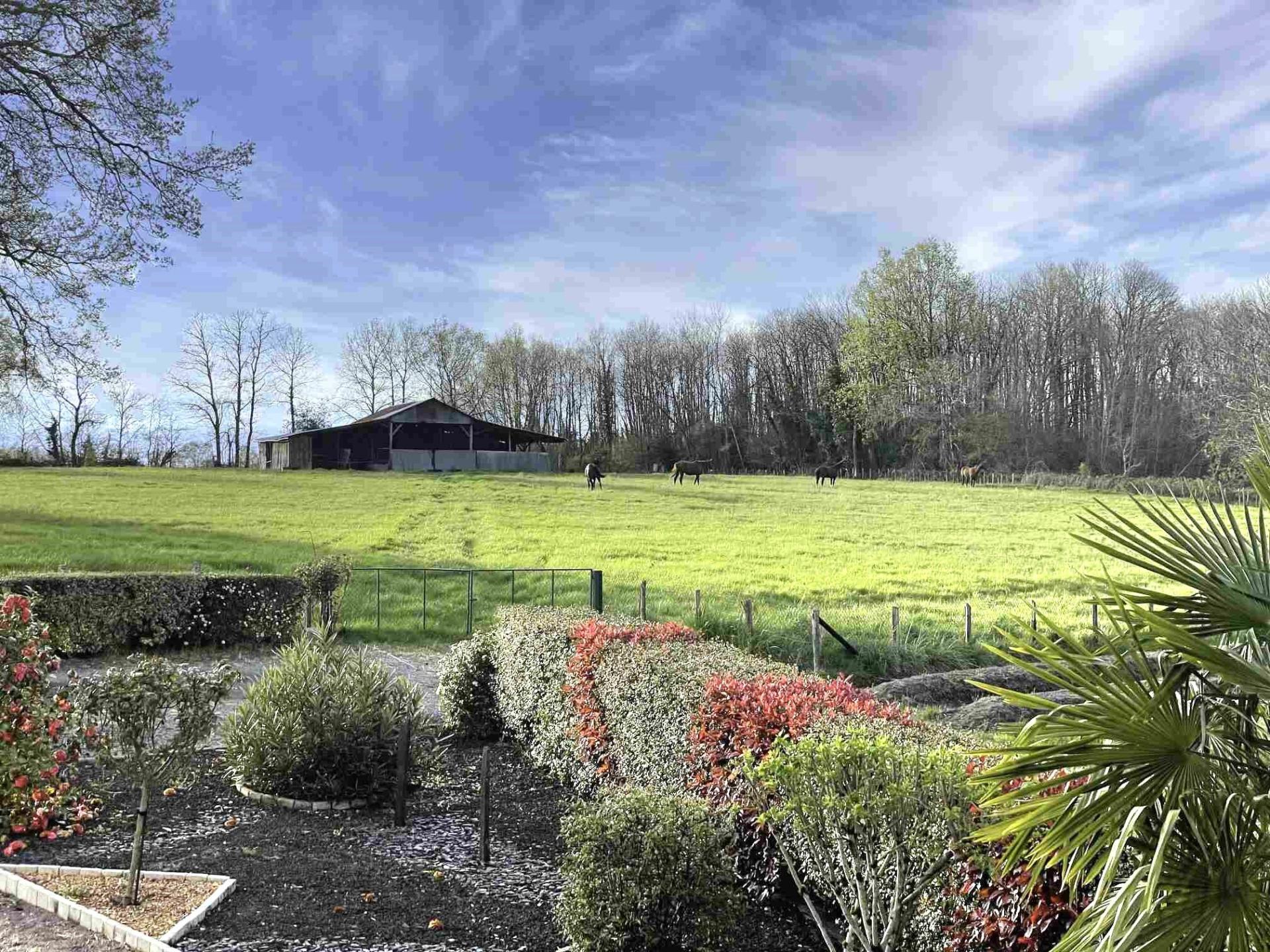 Miniature photo - 14 / 16