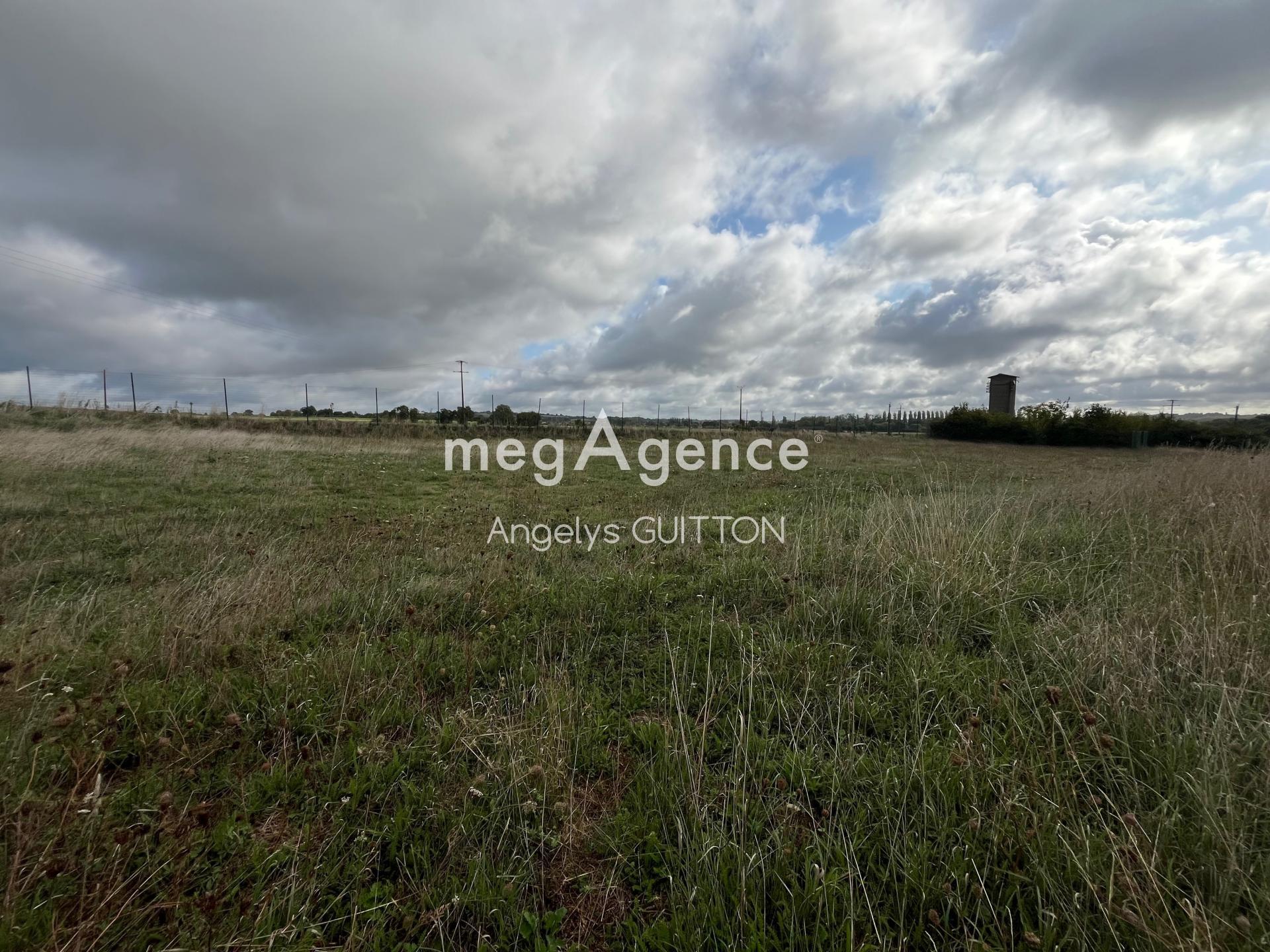 Miniature photo - 6 / 6