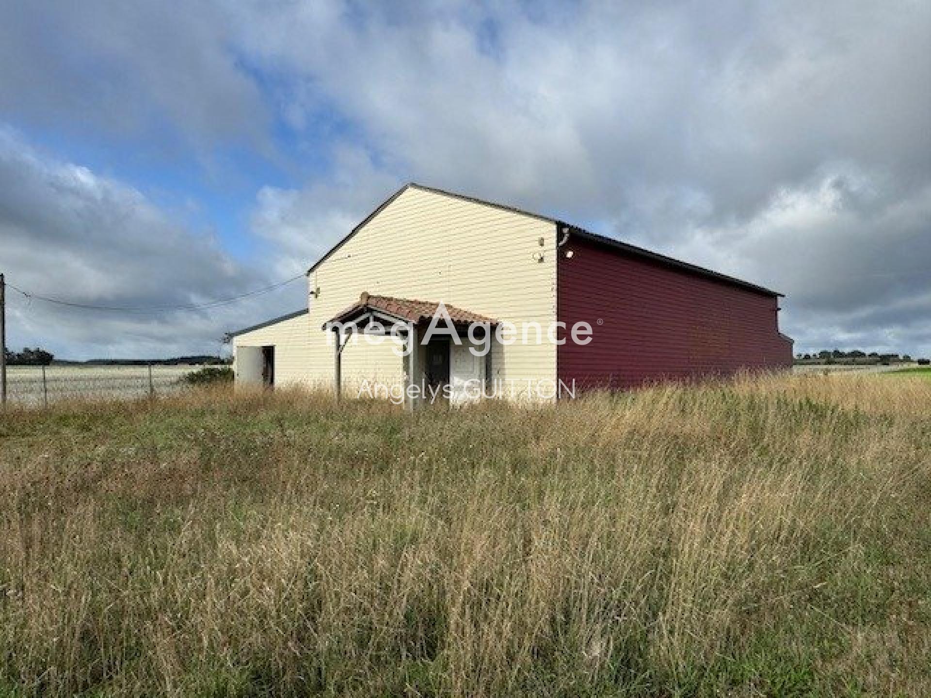 Miniature photo - 5 / 6