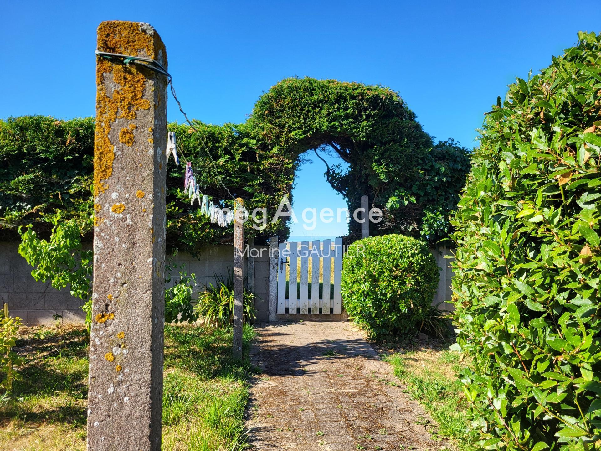 Miniature photo - 11 / 11