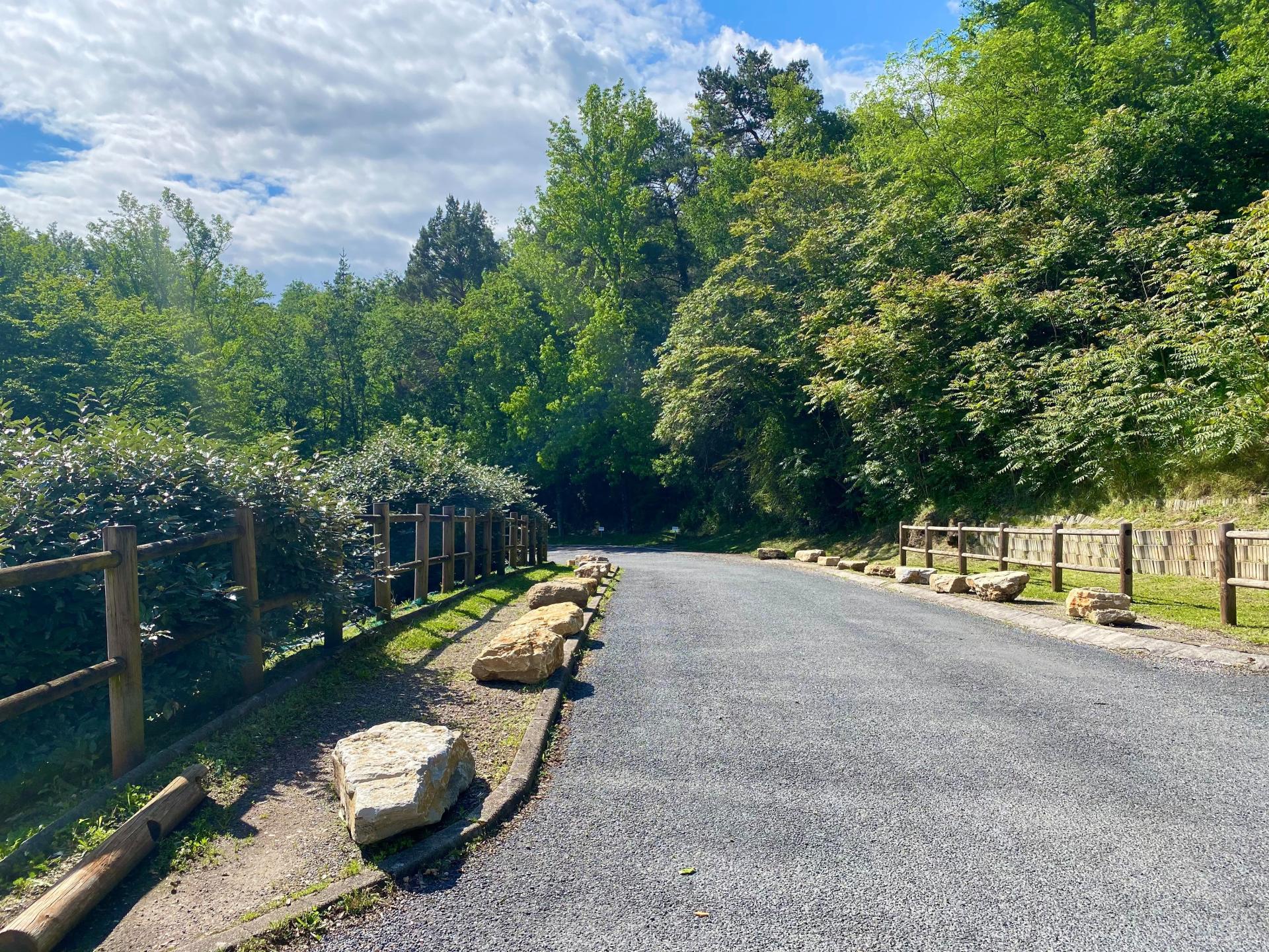 Miniature photo - 13 / 14