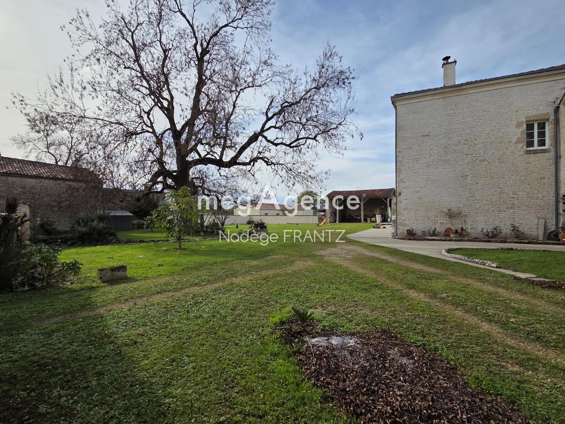 Miniature photo - 19 / 19