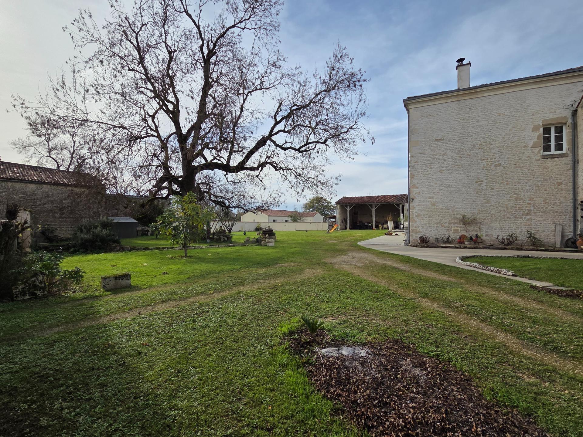 Miniature photo - 20 / 20