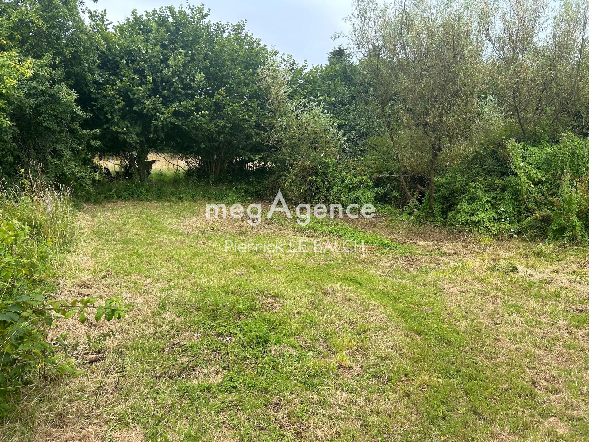 Miniature photo - 3 / 13