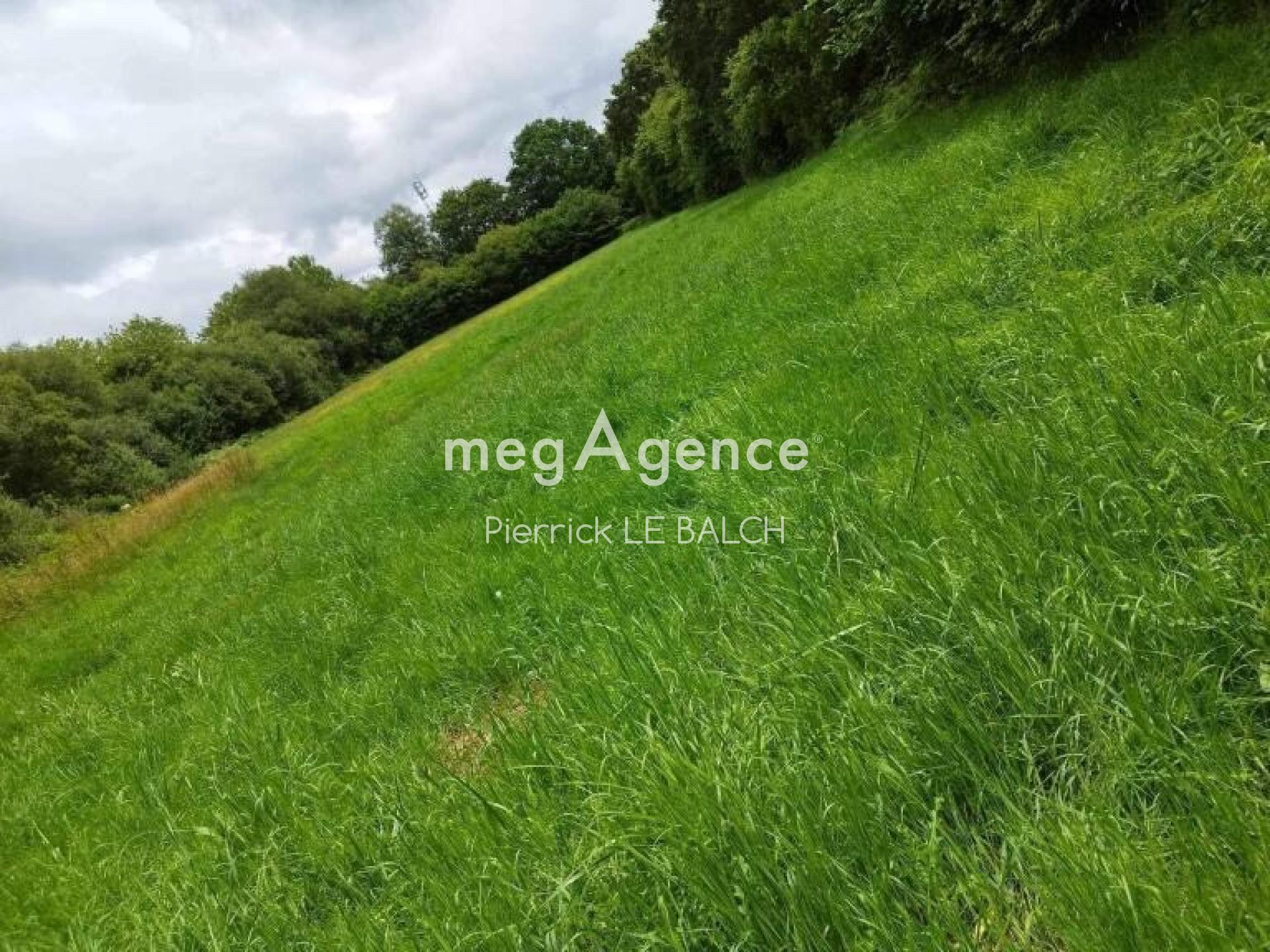 Miniature photo - 4 / 13