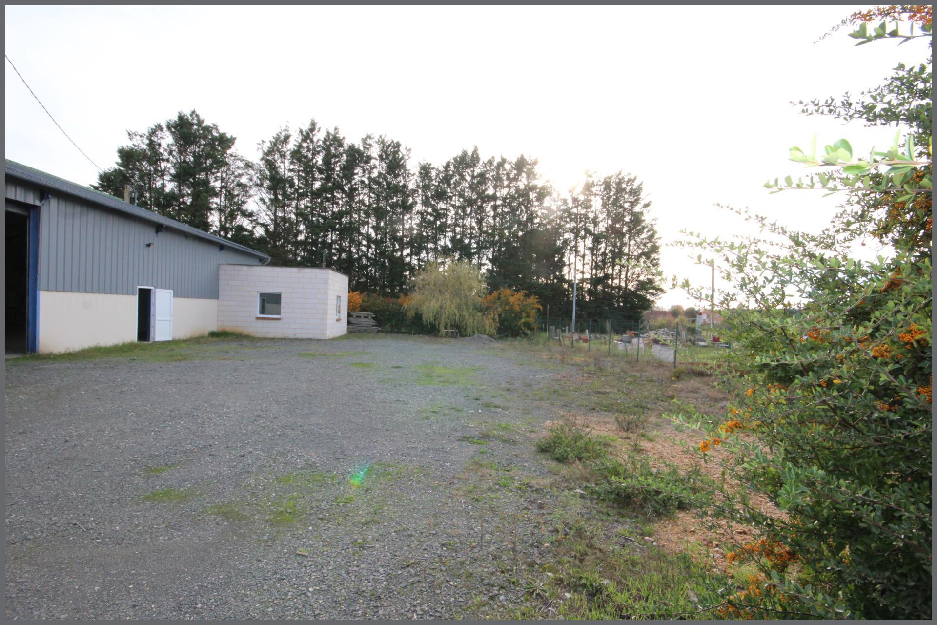 Miniature photo - 2 / 9