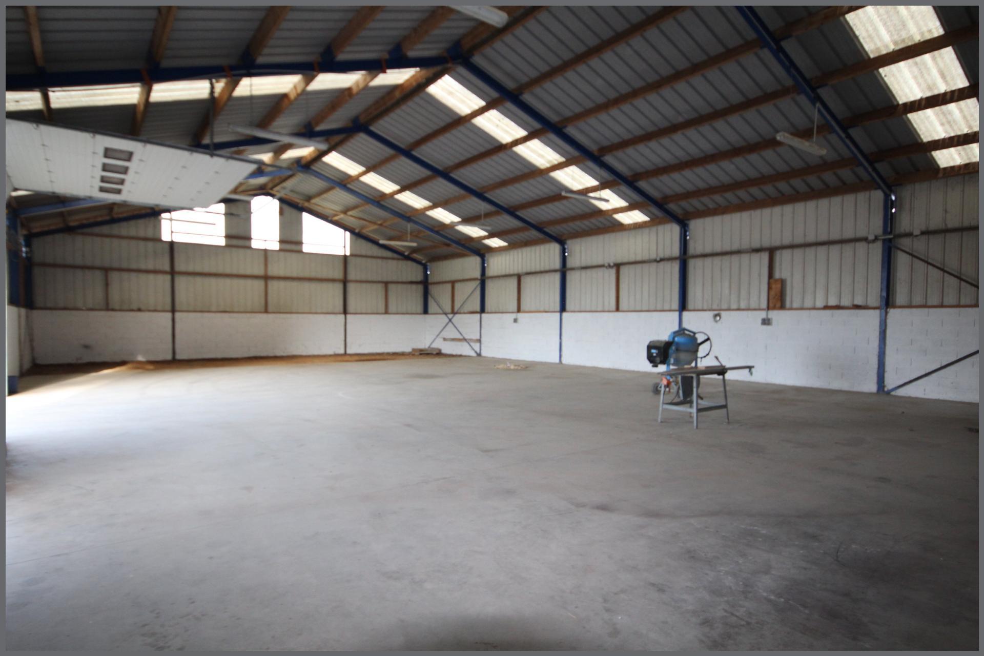 Miniature photo - 4 / 9