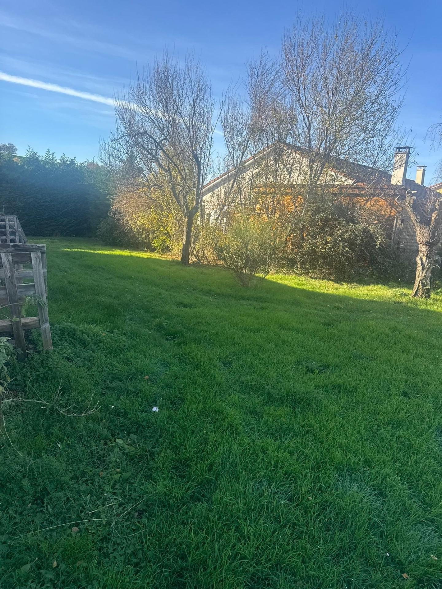 Miniature photo - 10 / 10