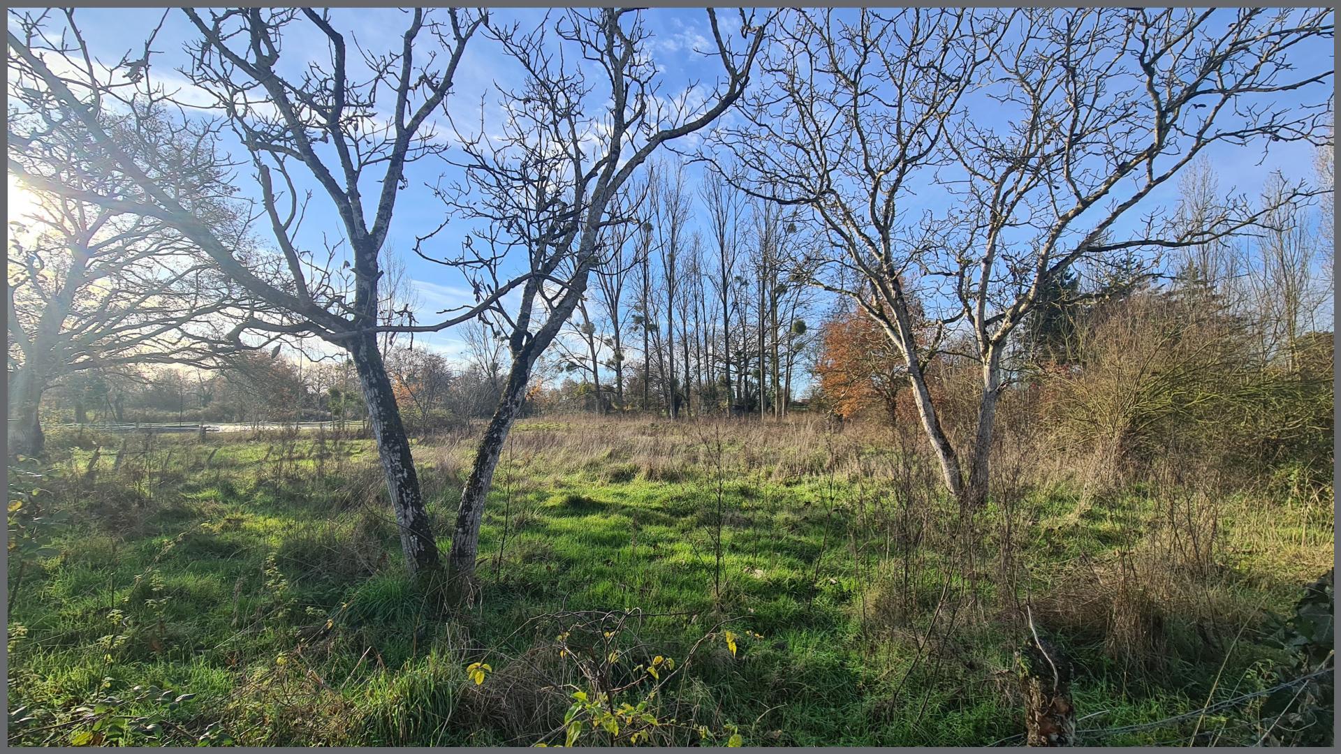 Miniature photo - 17 / 17