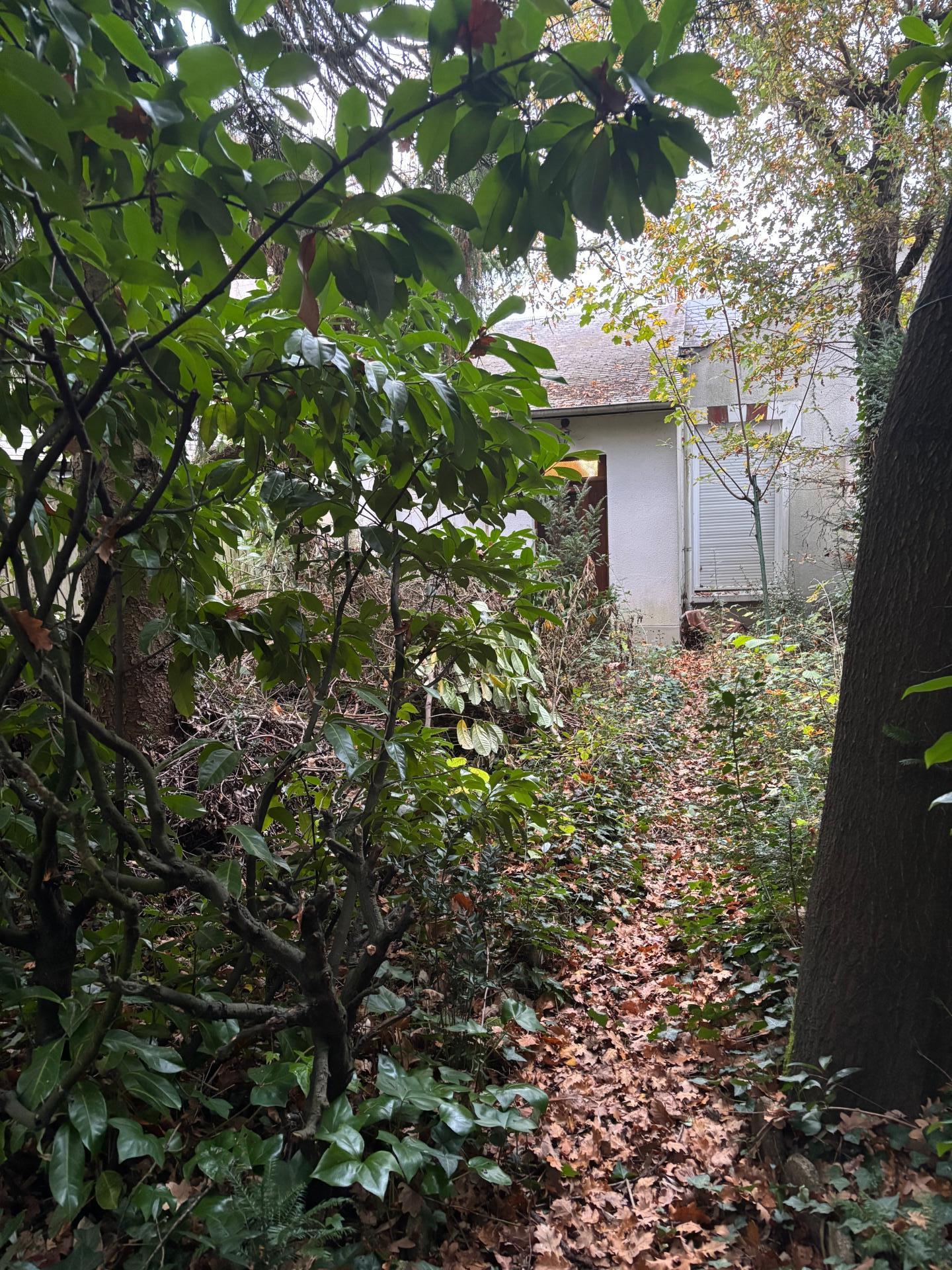 Miniature photo - 2 / 2