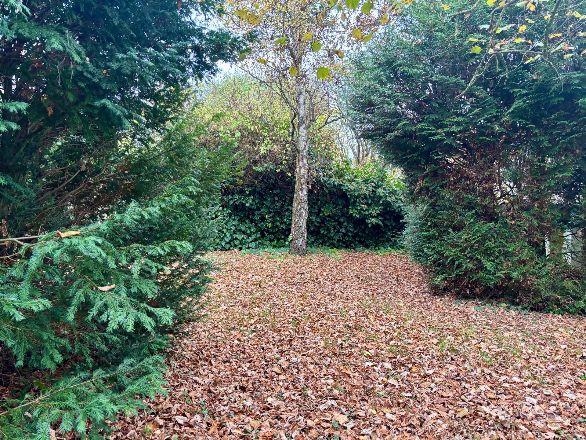 Miniature photo - 8 / 8