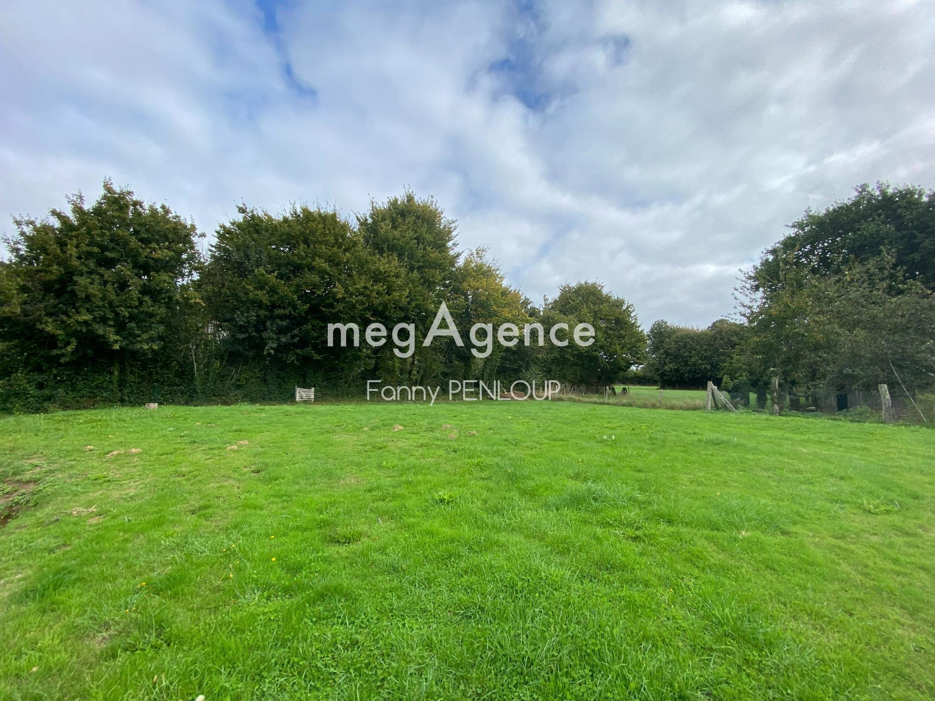 Miniature photo - 10 / 10