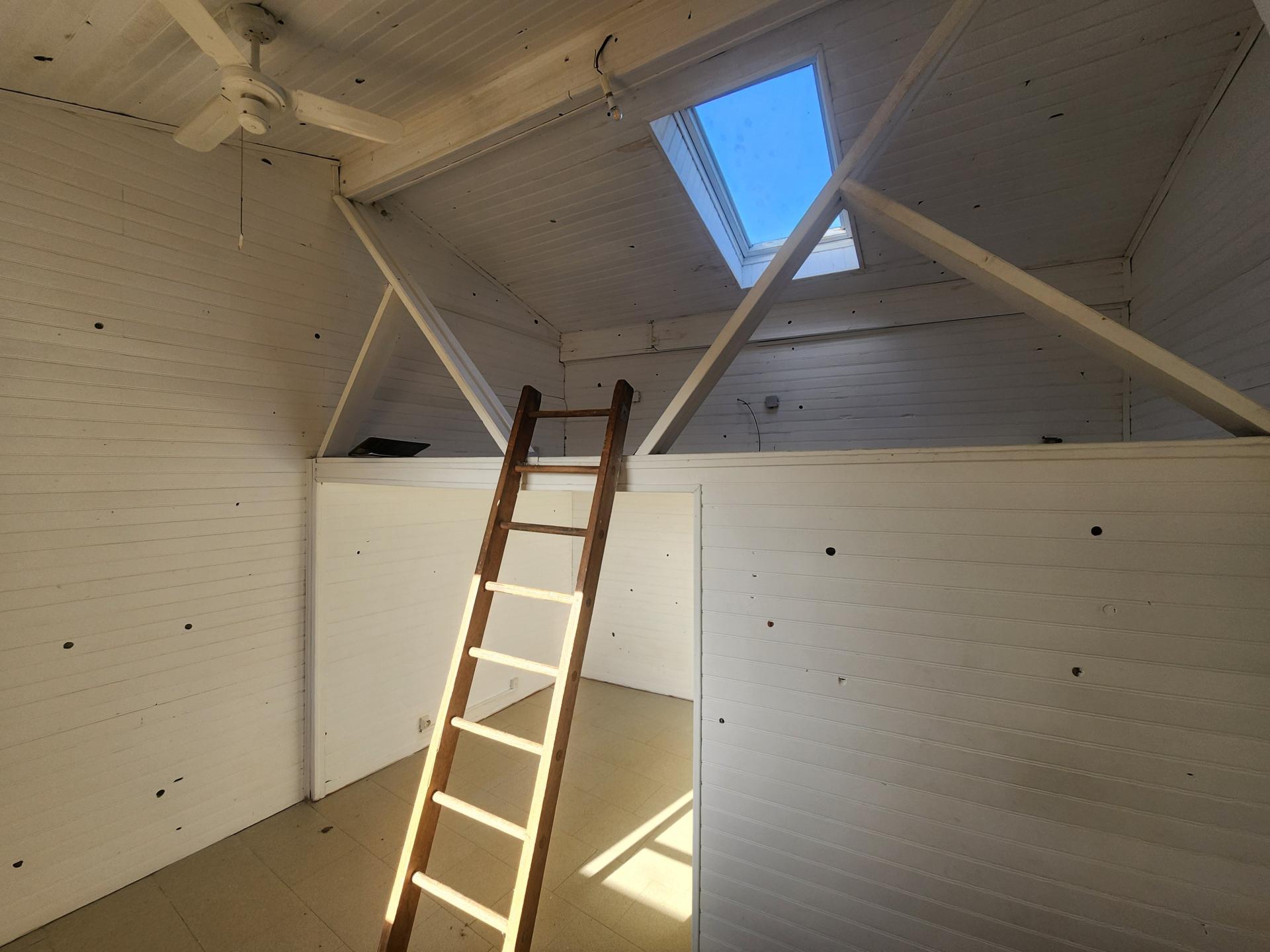 Miniature photo - 4 / 11