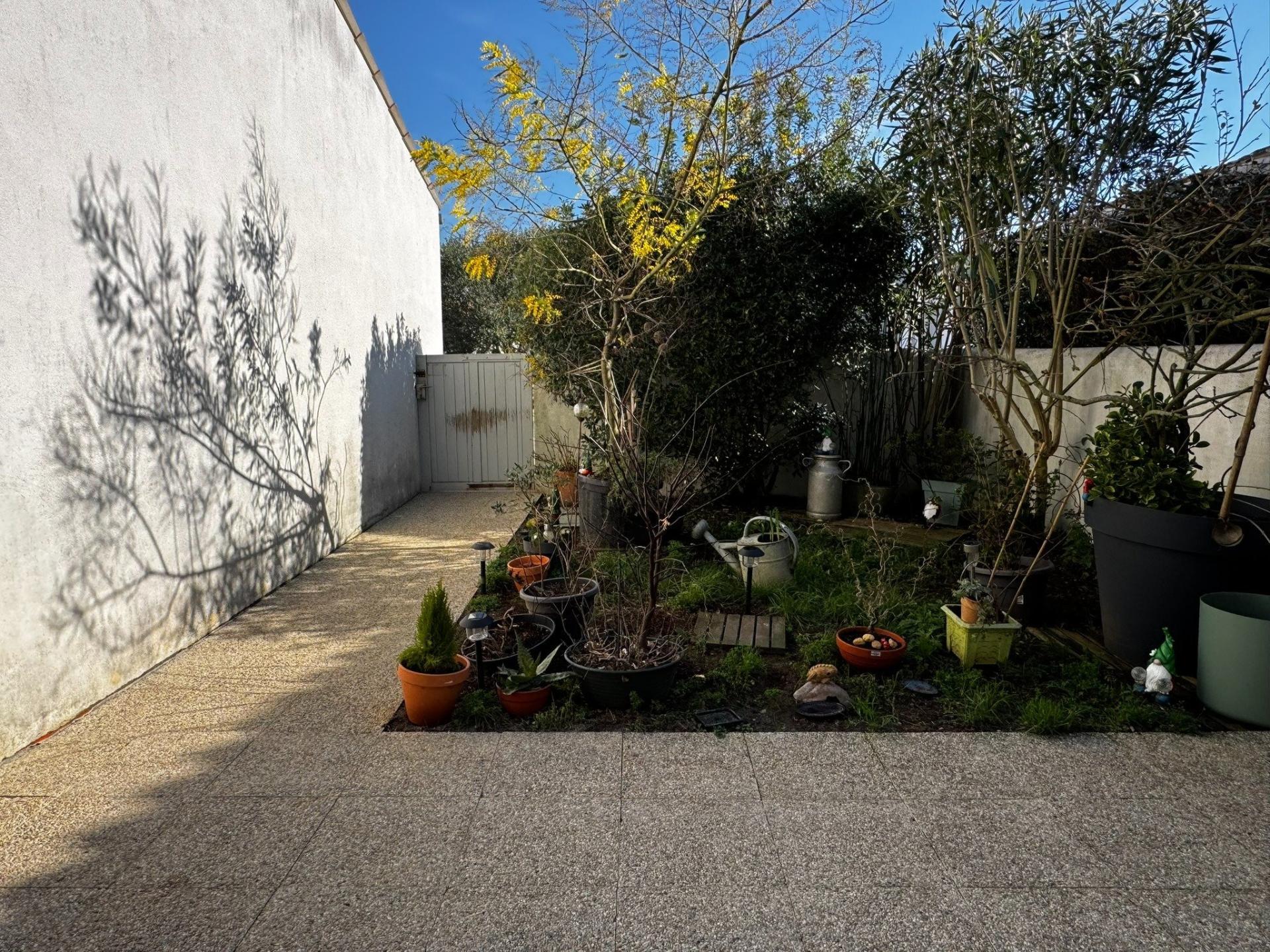 Miniature photo - 2 / 11