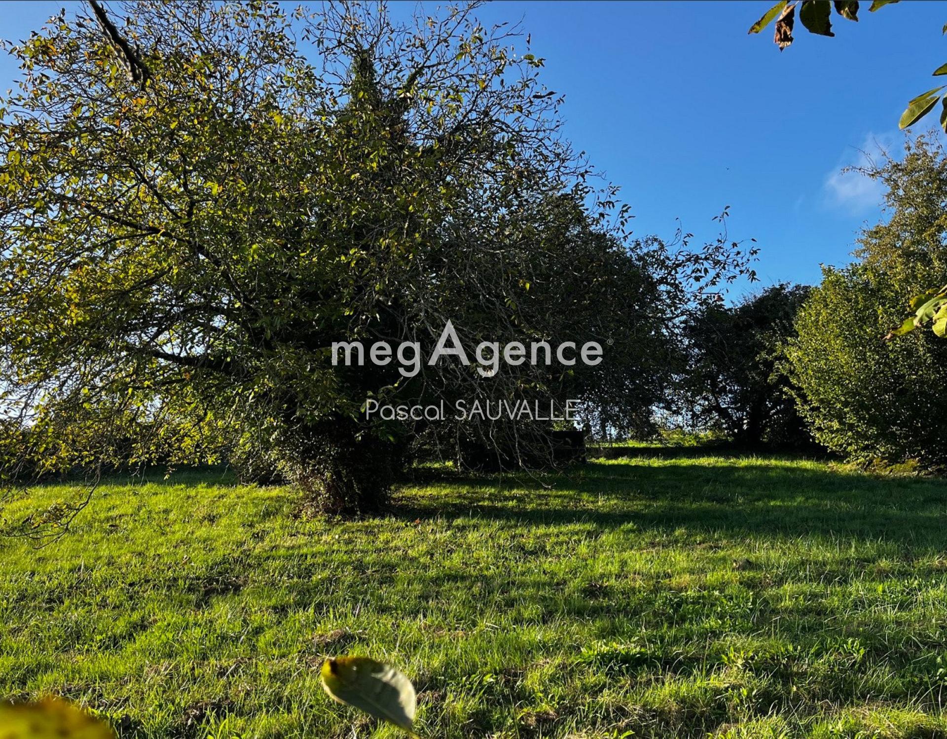 Photographie descriptive du bien