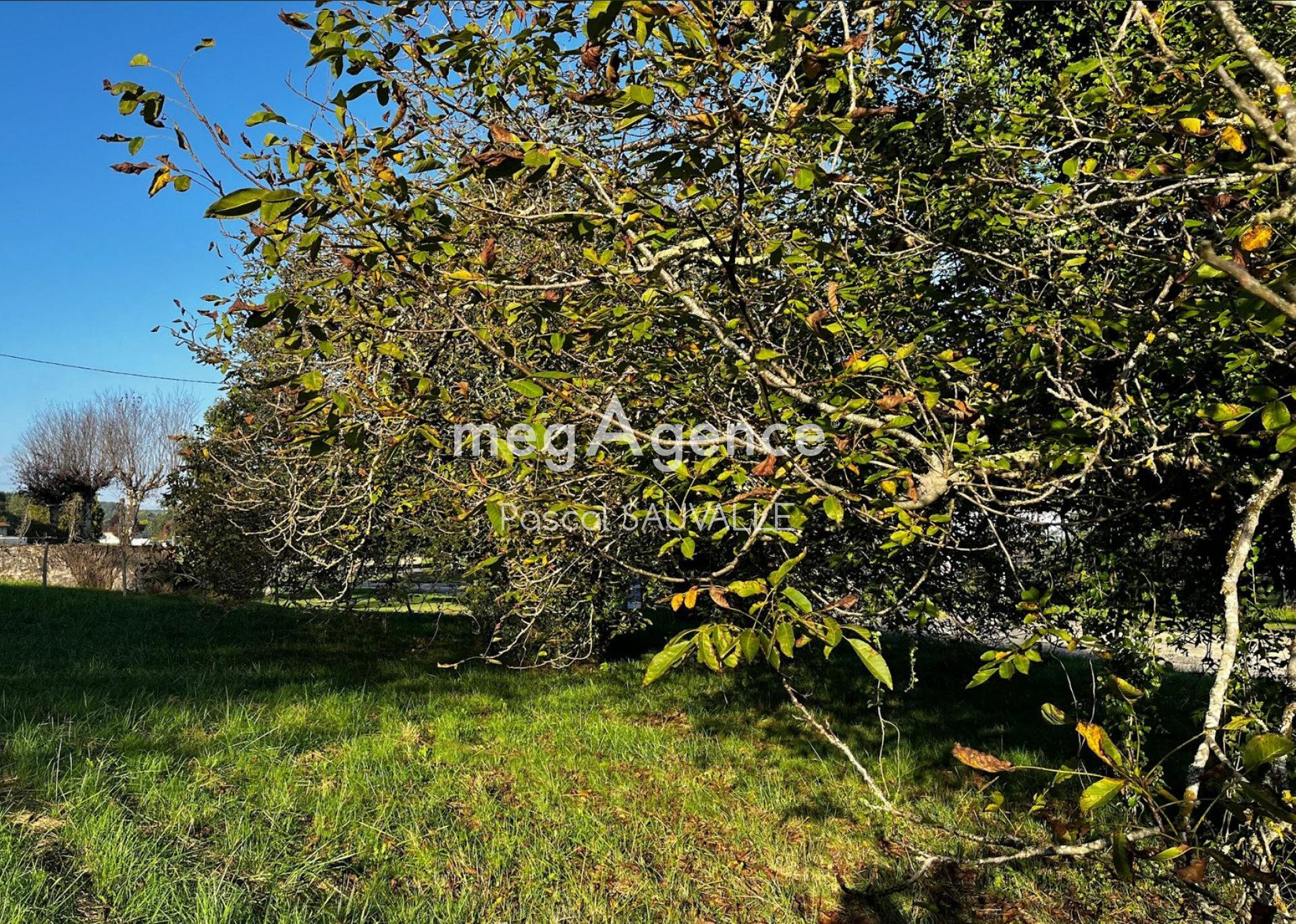 Photographie descriptive du bien