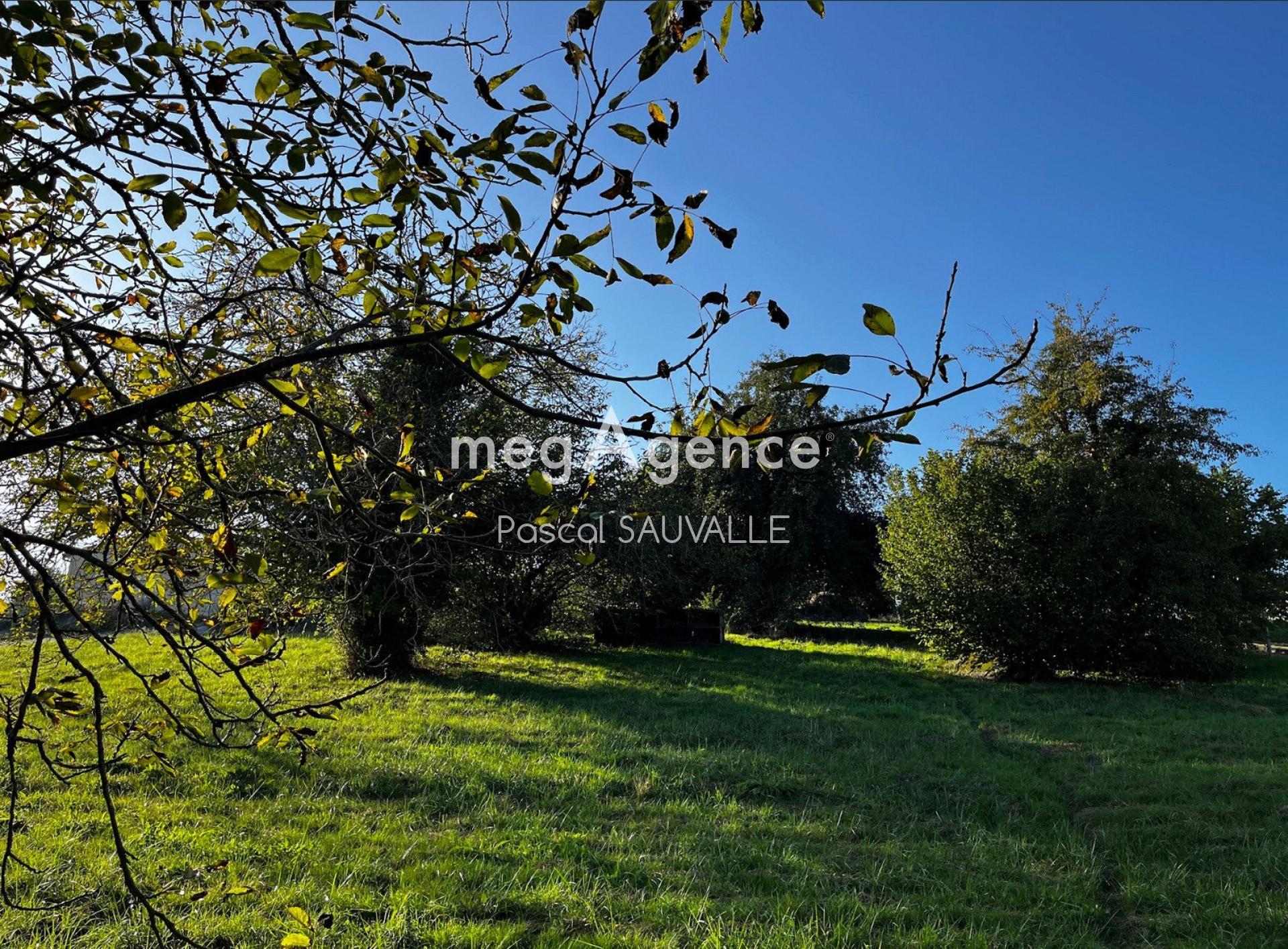 Photographie descriptive du bien