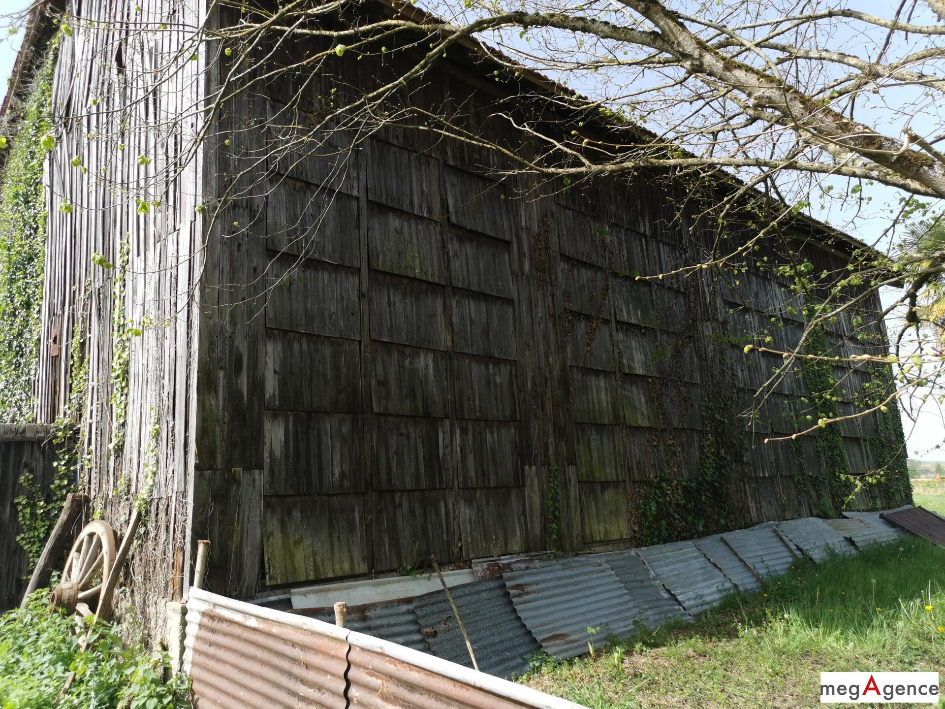 Miniature photo - 4 / 20