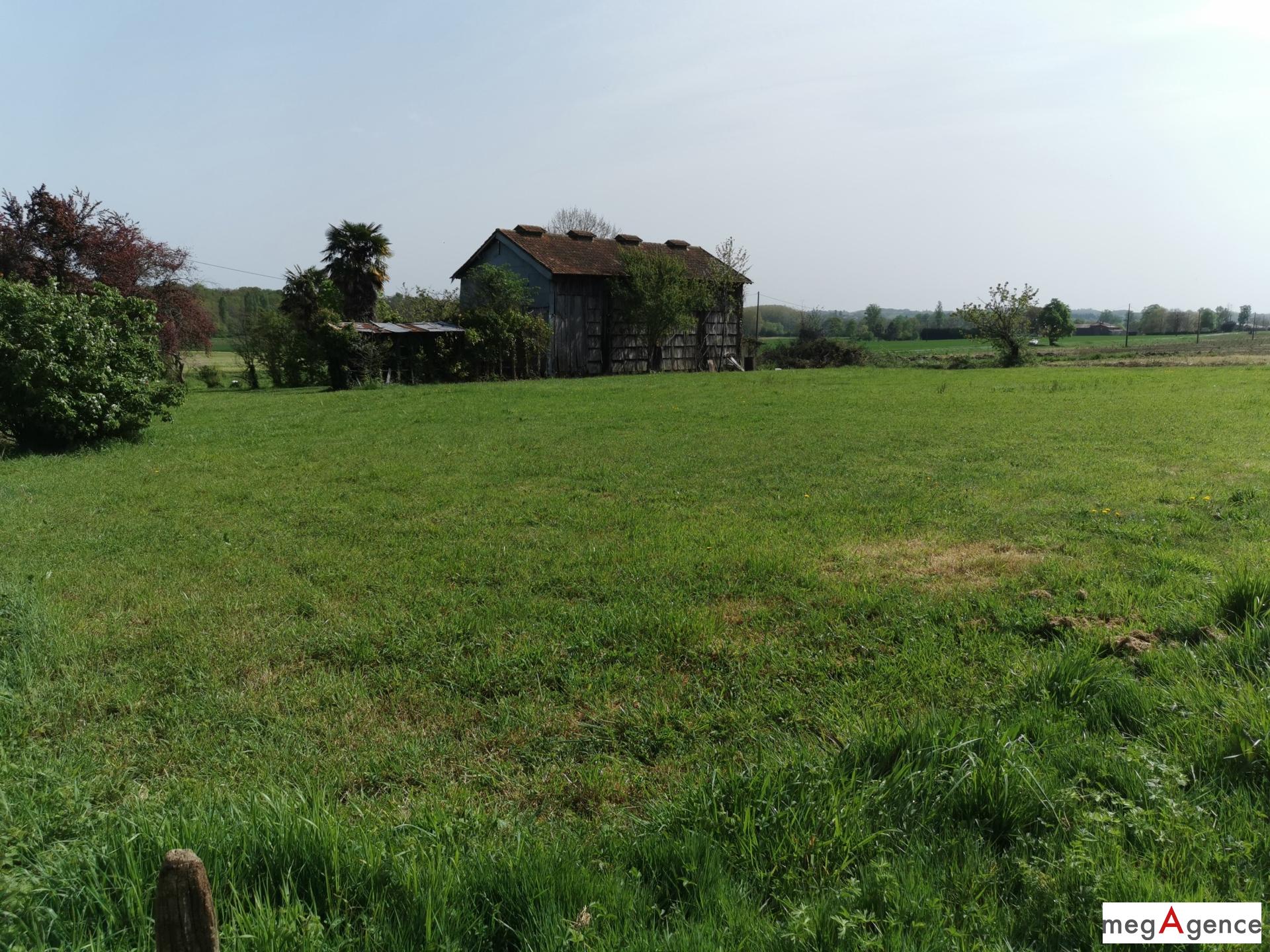 Miniature photo - 20 / 20