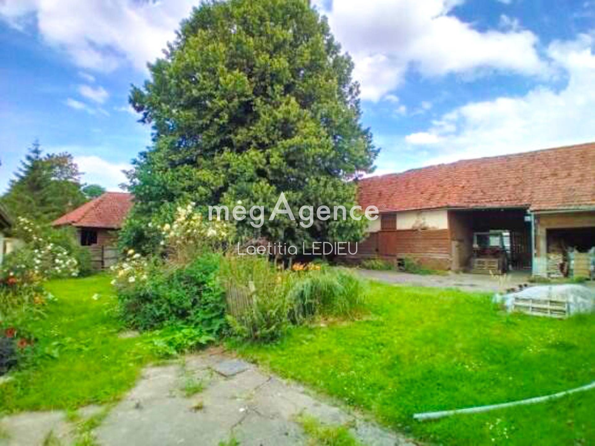 Miniature photo - 17 / 17