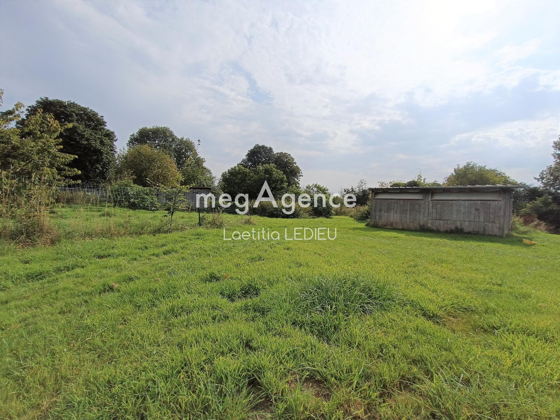 Miniature photo - 16 / 16