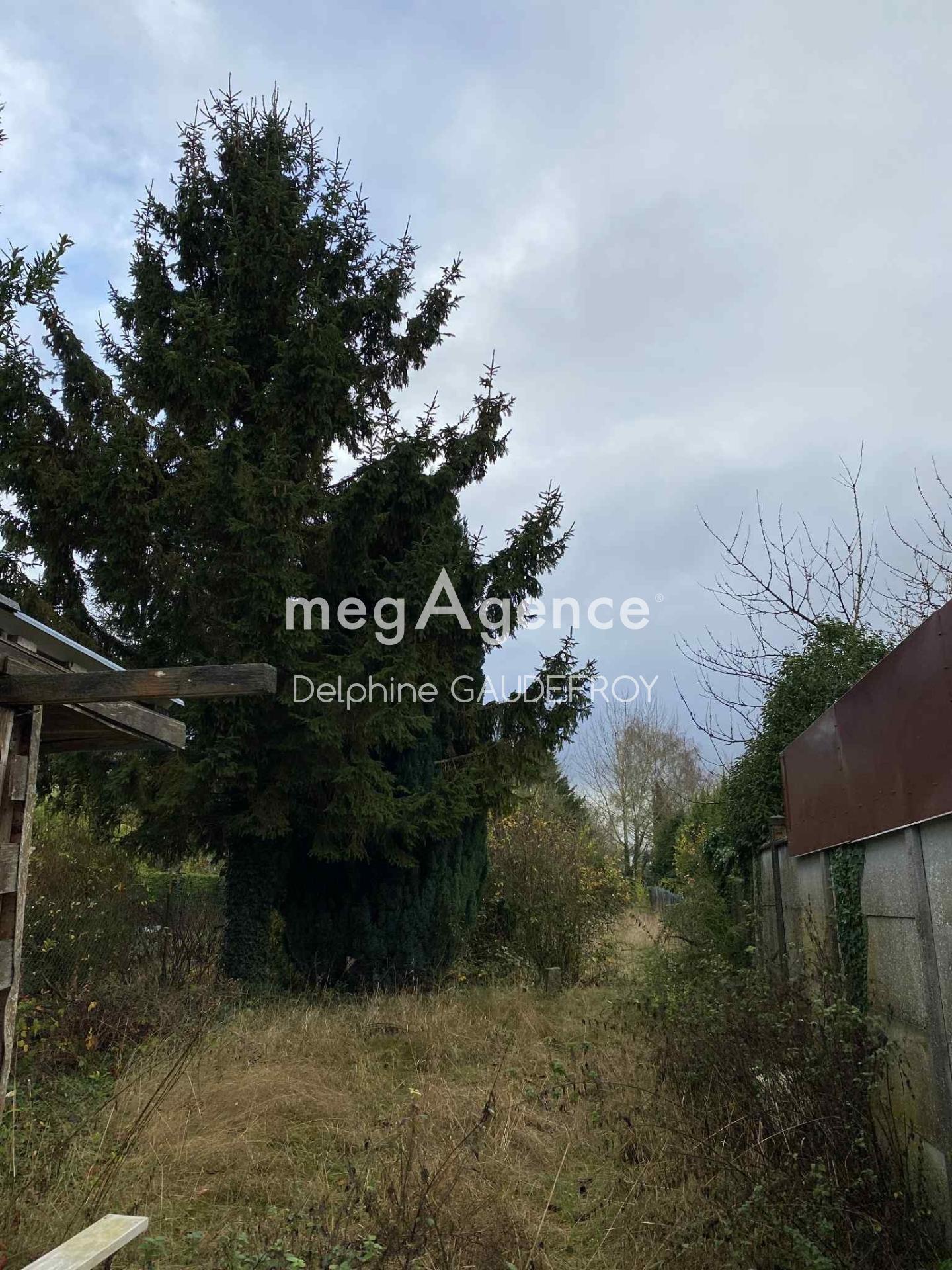 Miniature photo - 9 / 9