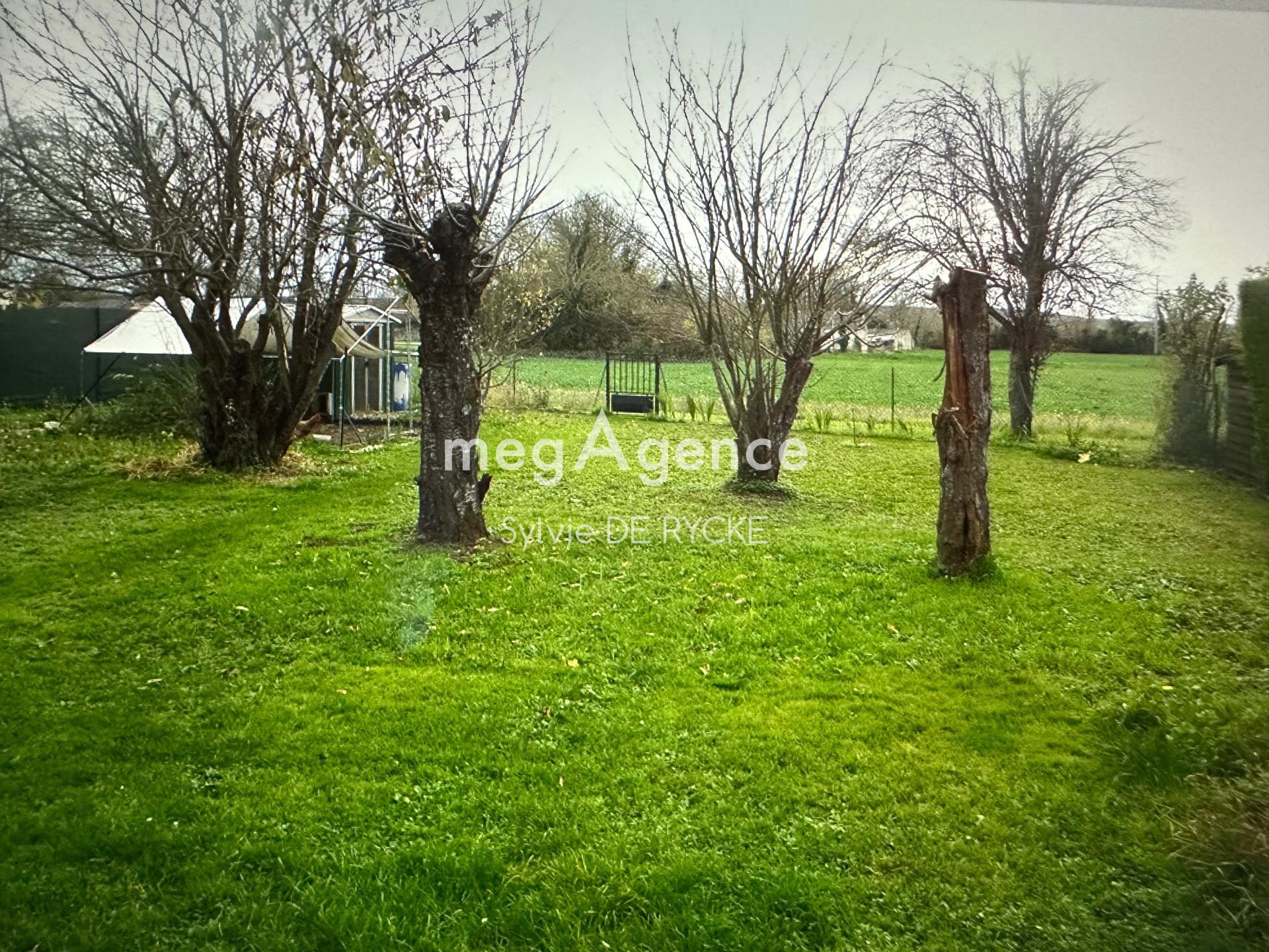 Miniature photo - 11 / 11