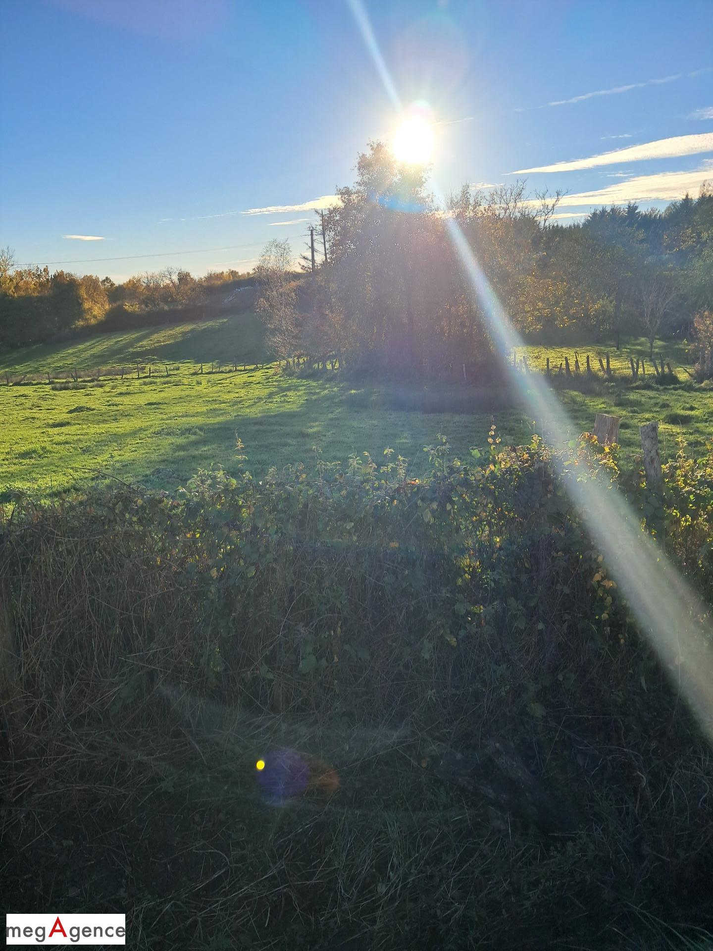 Miniature photo - 3 / 3