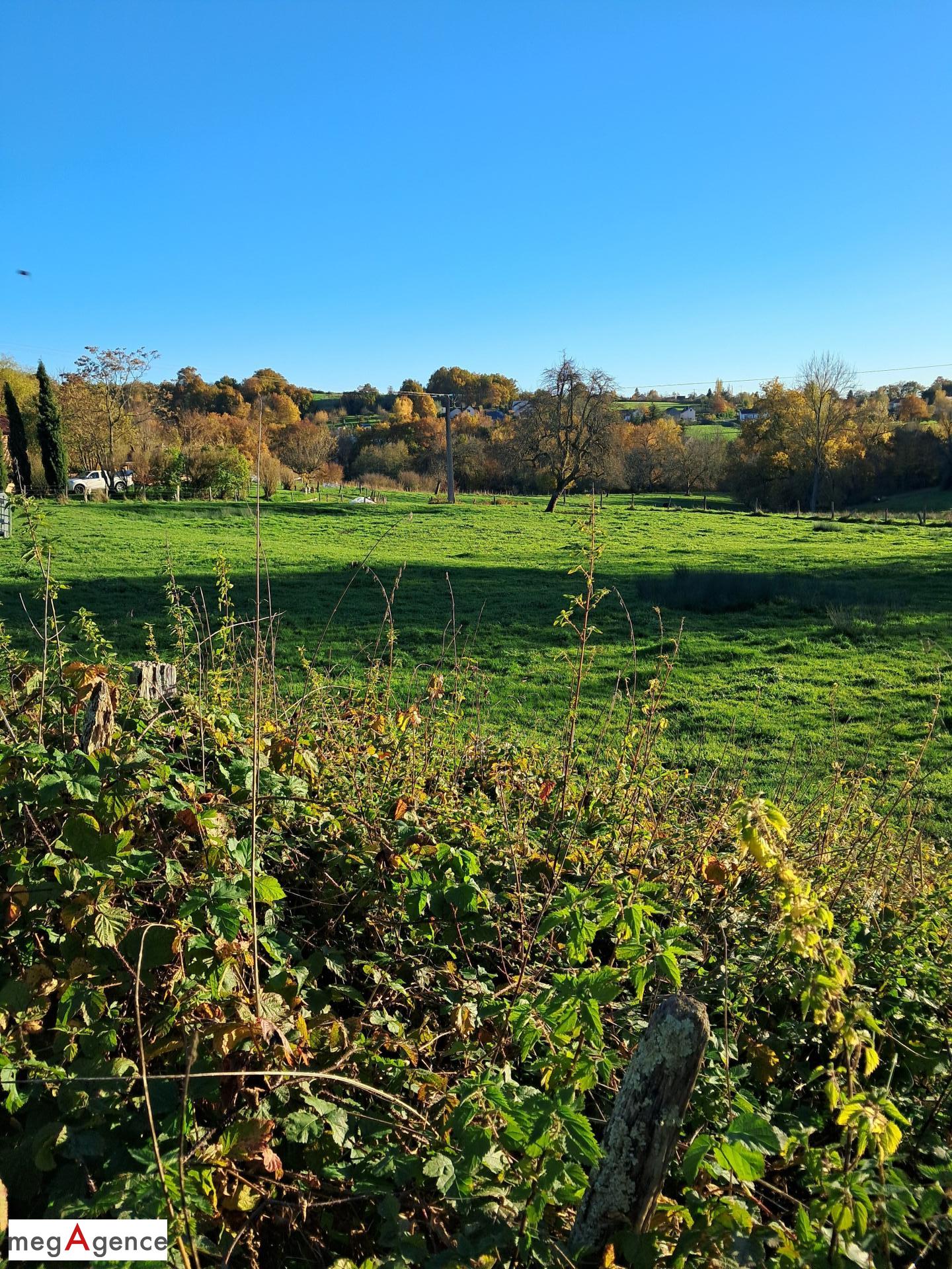 Miniature photo - 2 / 3